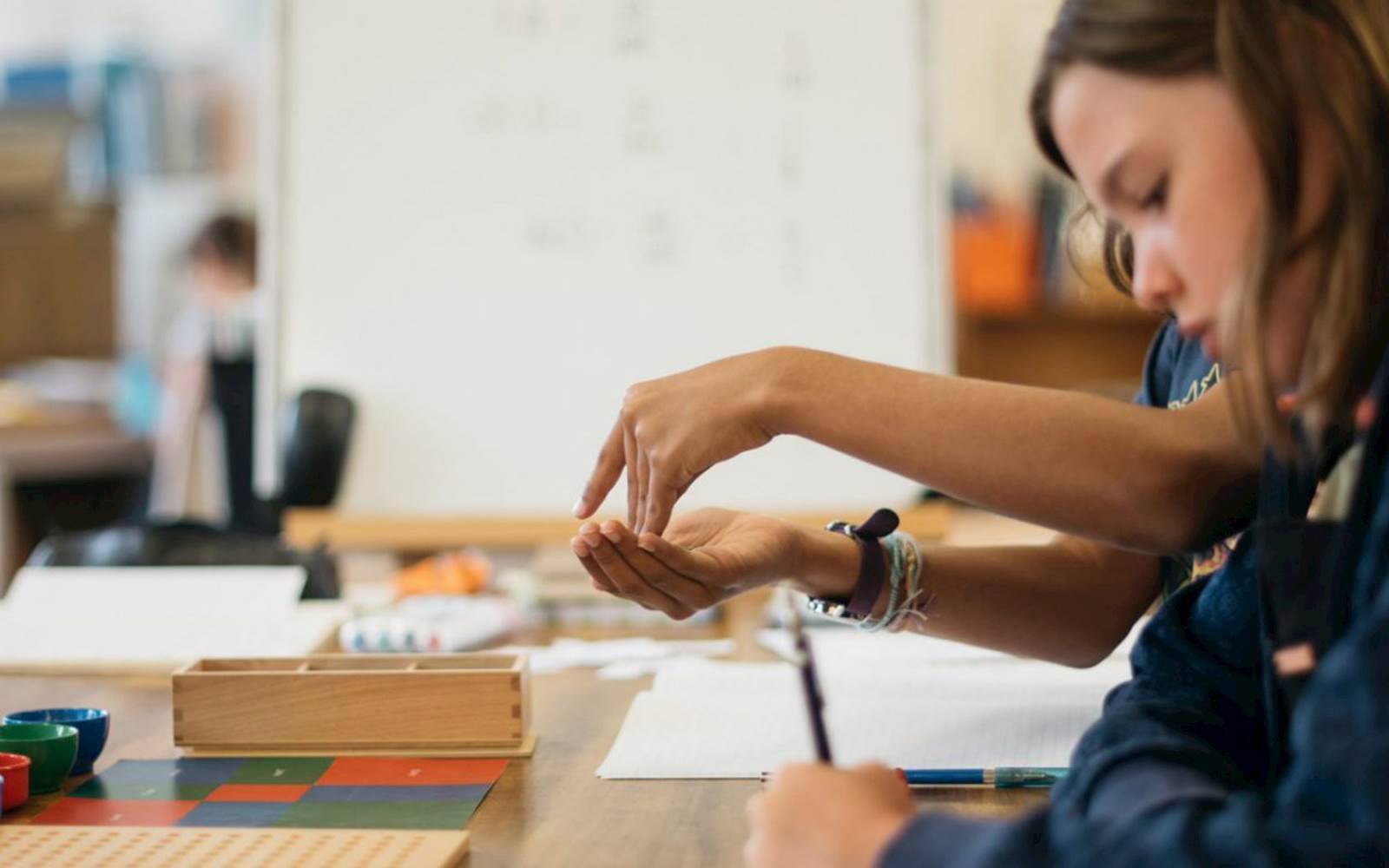 Inner Sydney Montessori School - Lilyfield