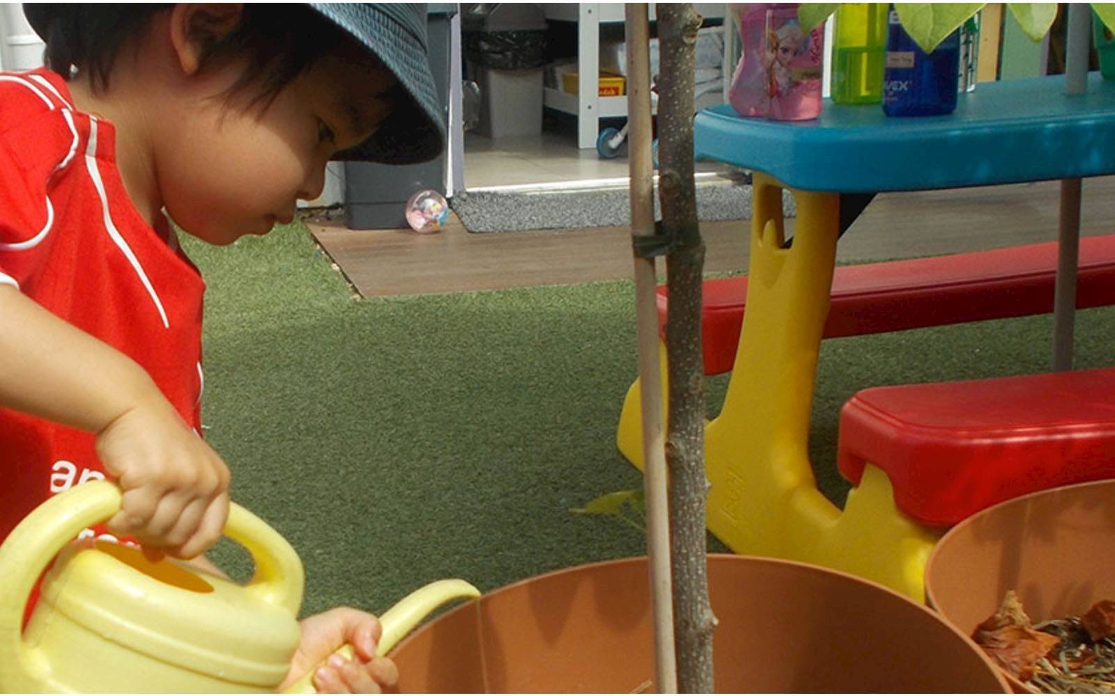 Wonderland Childcare and Kindergarten