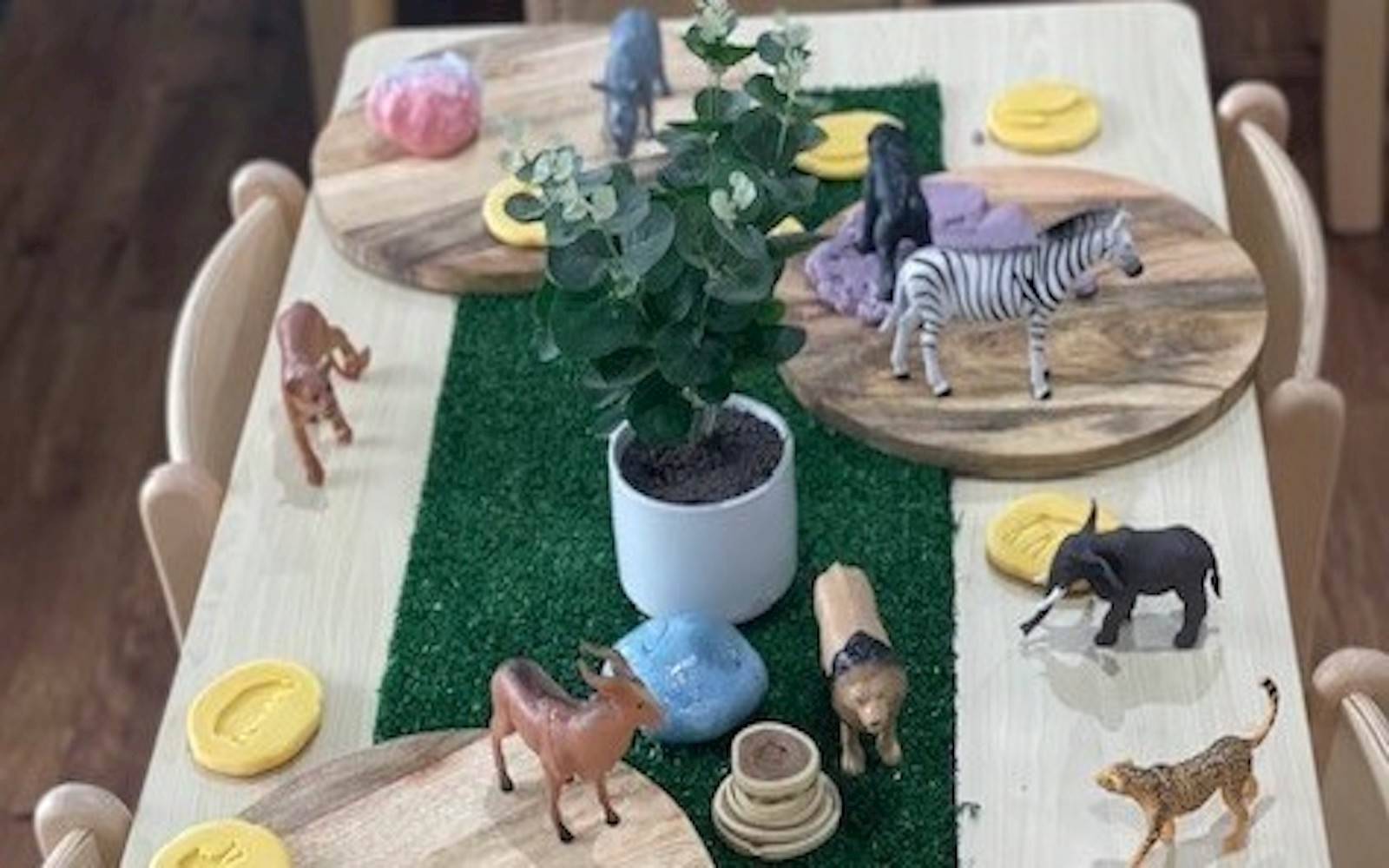 Little Angels at Mascot Central