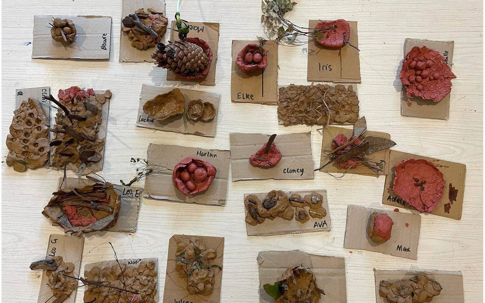 Flemington Child Care Co-operative