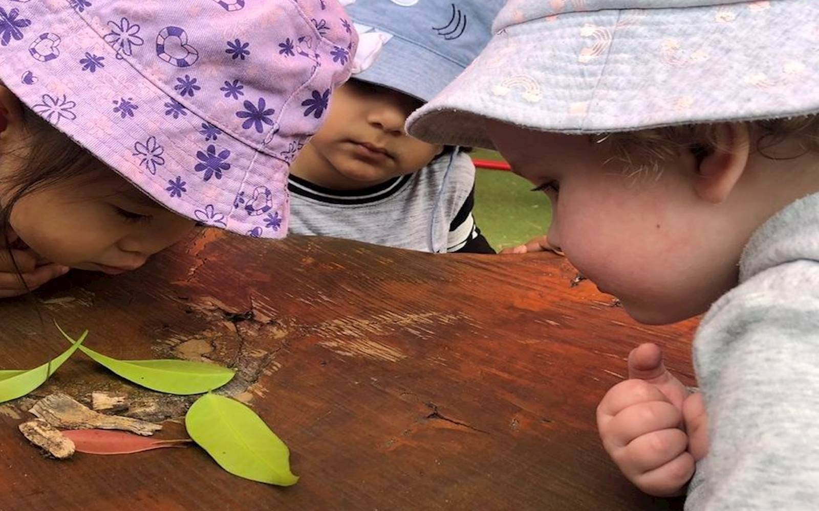 Just for Kids - Kellyville