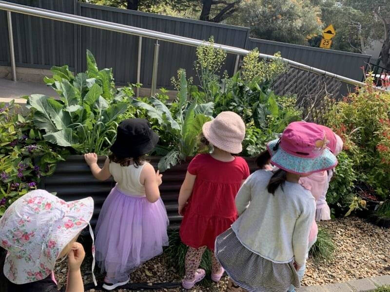 Little Zak's Academy West Ryde