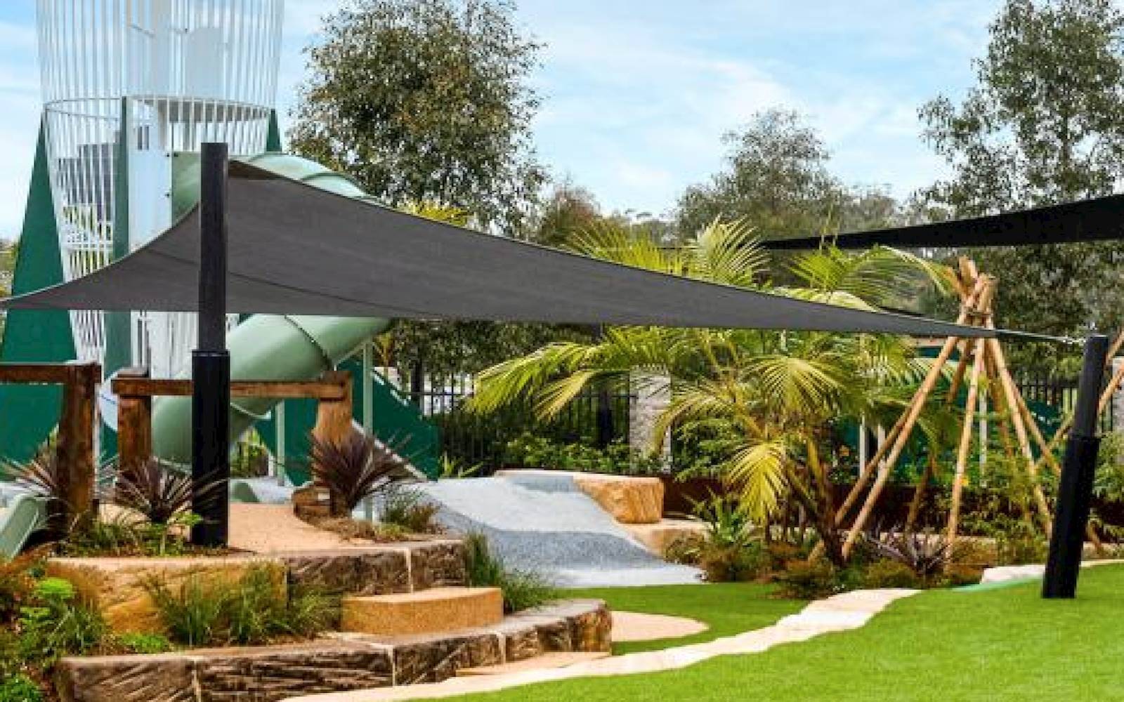 Exploring Tree Oran Park