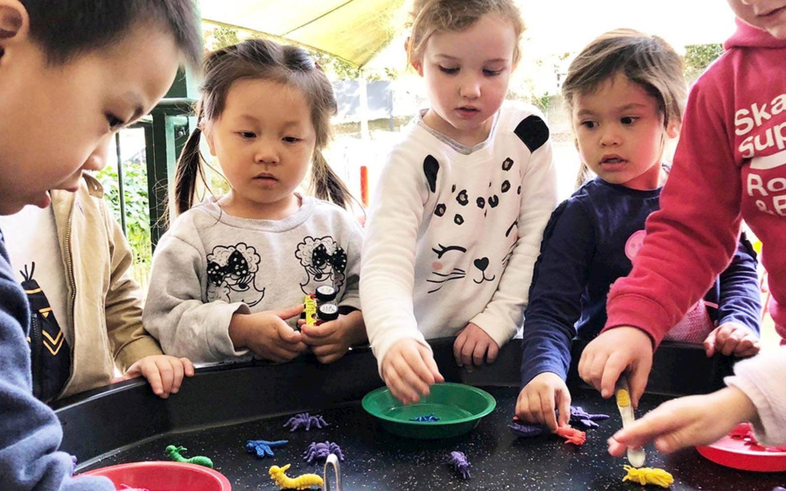 Neutral Bay Preschool