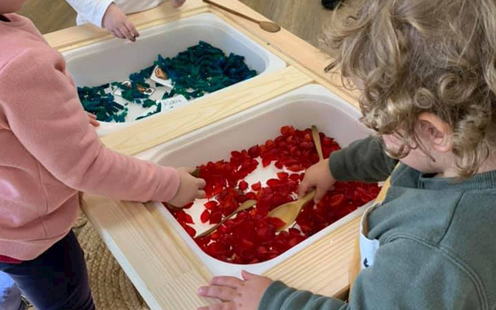 Ekidna - Tamworth School of Early Learning