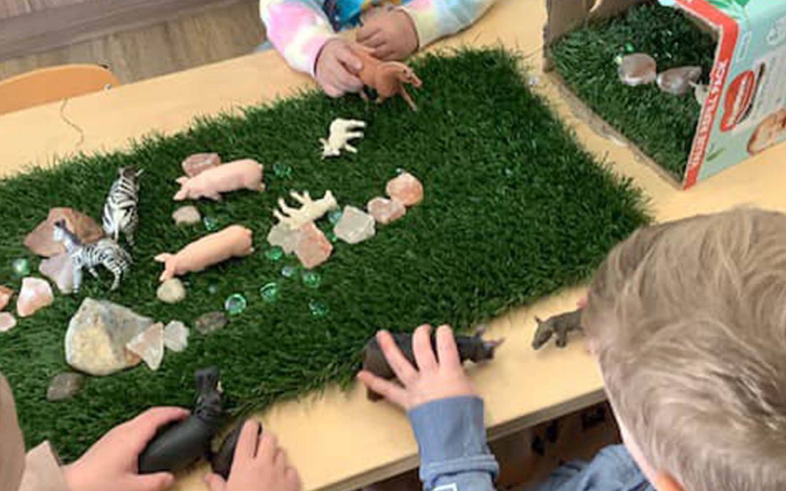 Ekidna - Tamworth School of Early Learning