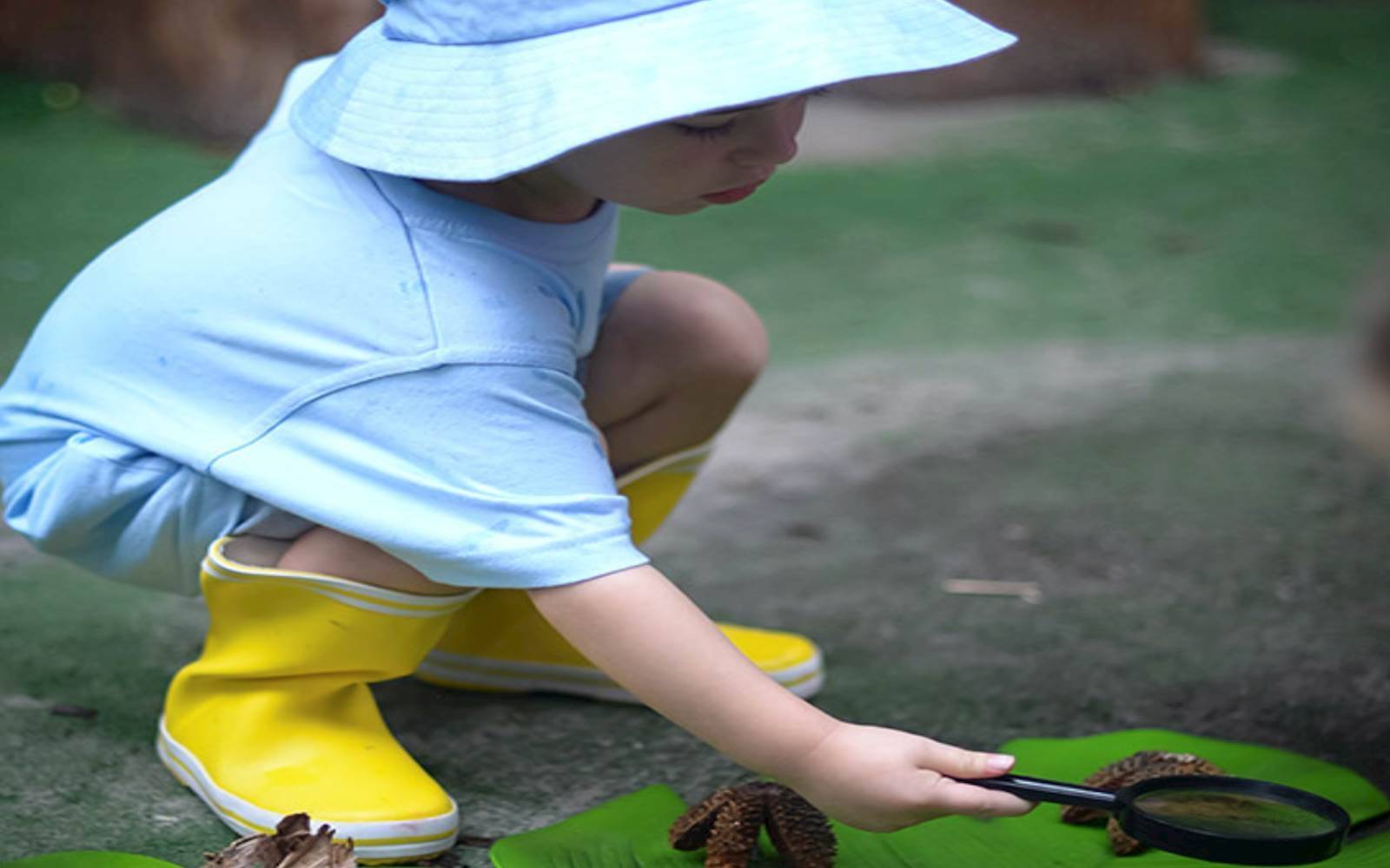 The Learning Nook Early Education and Childcare