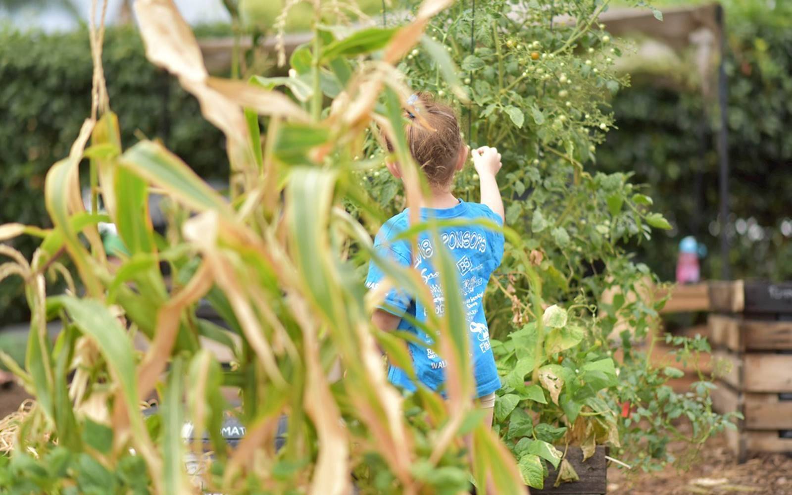 Stepping Stones Early Learning Centre Dubbo
