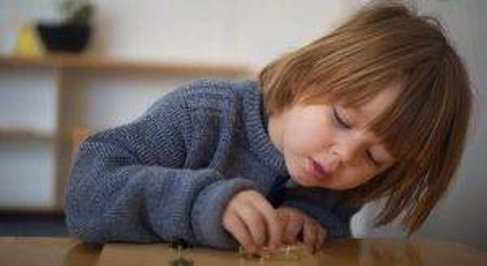 Melbourne Montessori School Brighton Campus