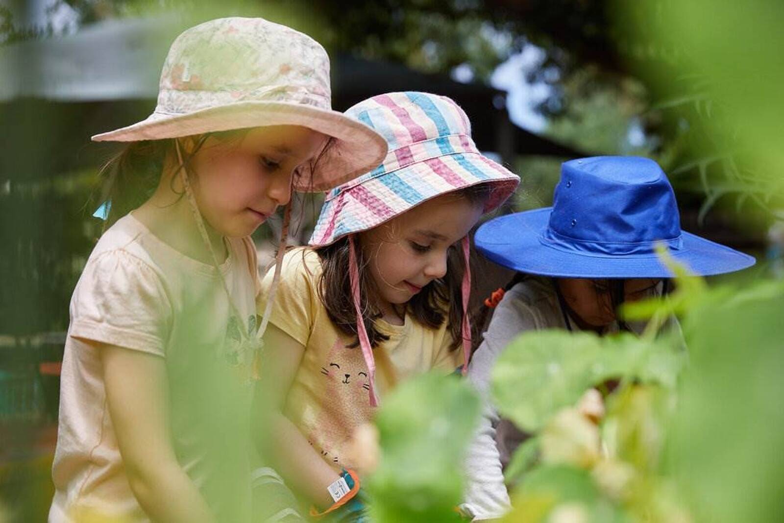 East Brunswick Kindergarten