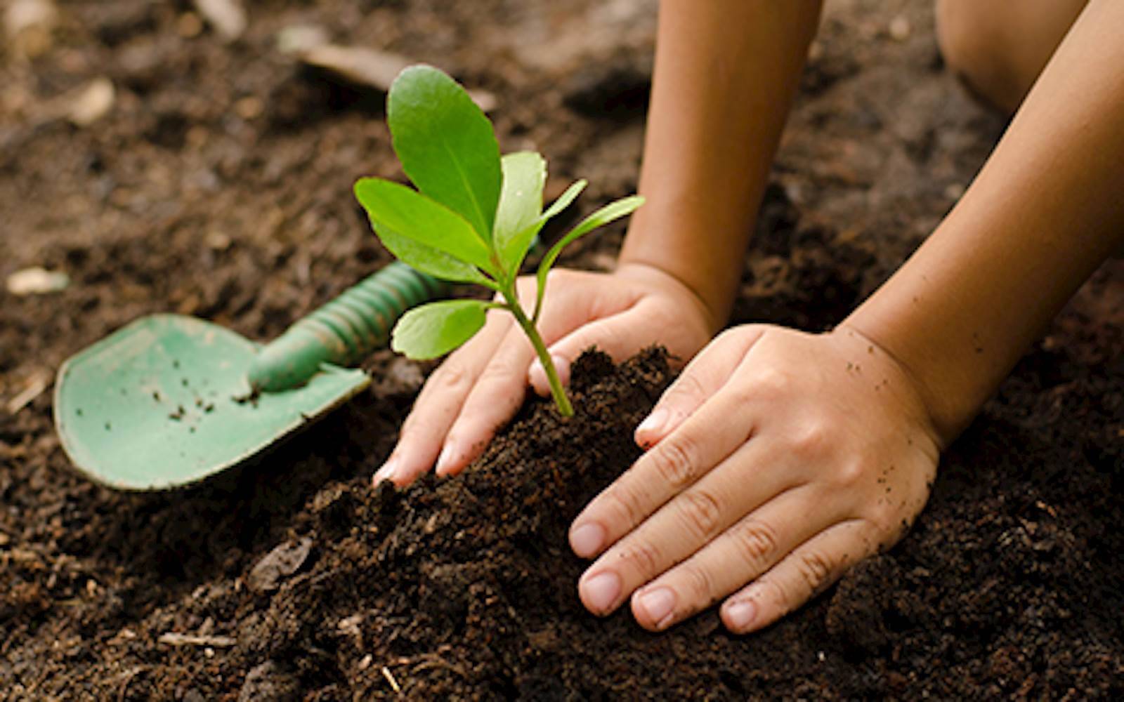 Camperdown Sunshine Kids