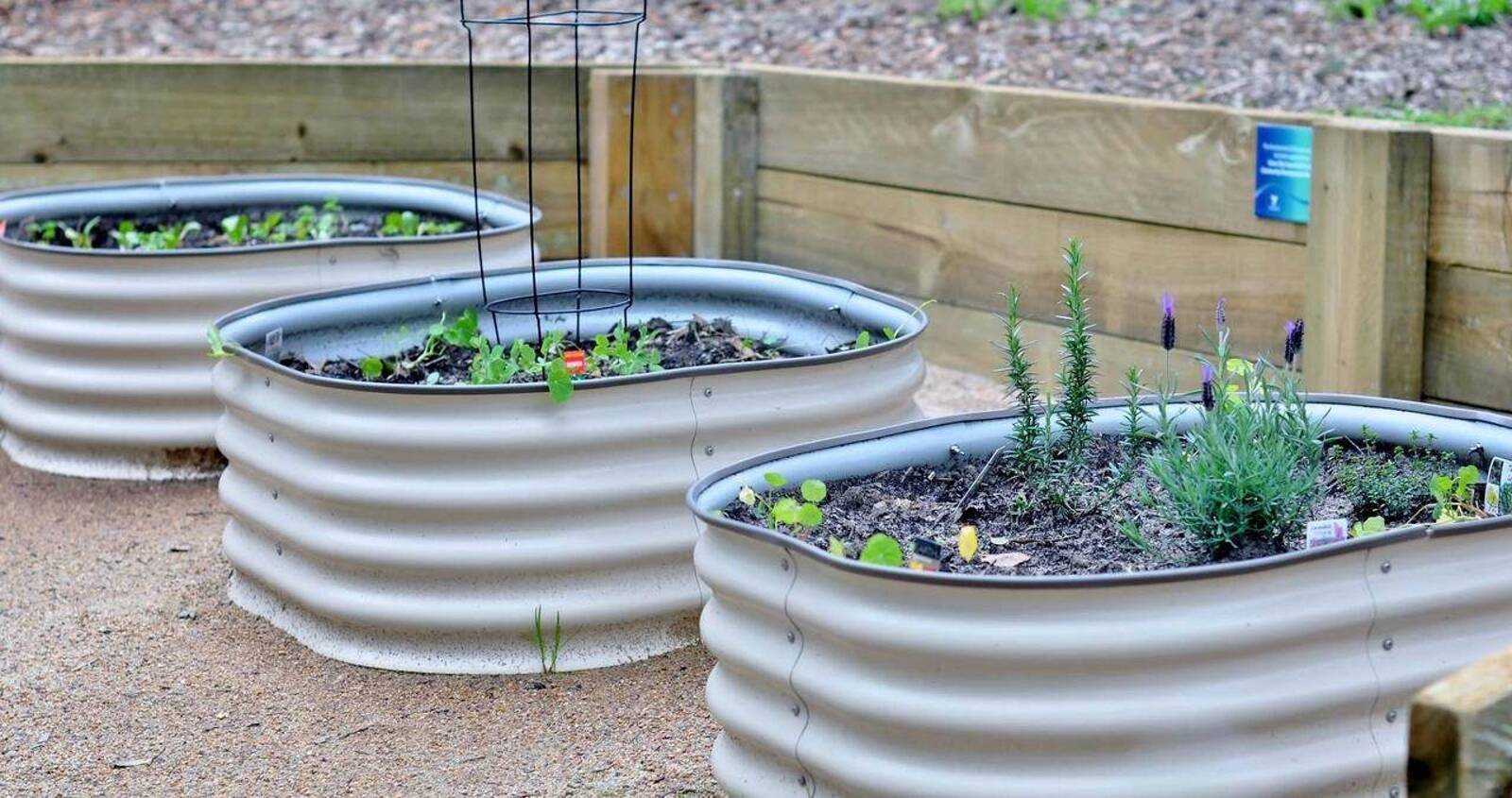 Kinderlea 3 Year Old Preschool