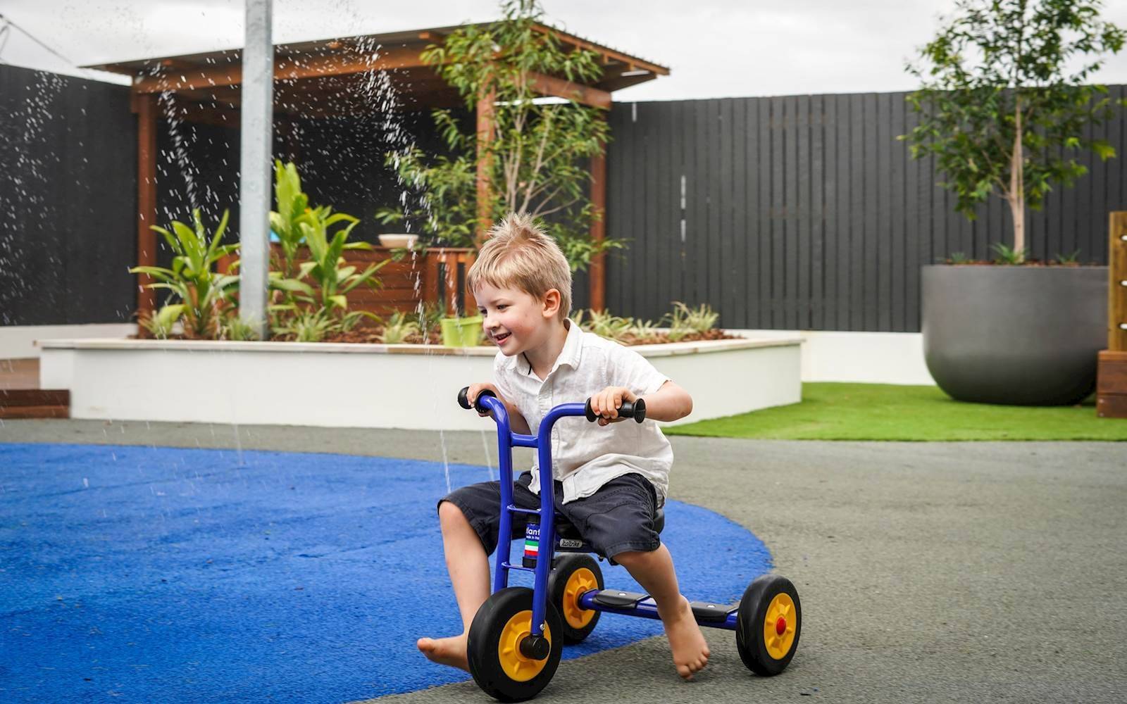 Curiosity Tree Morayfield