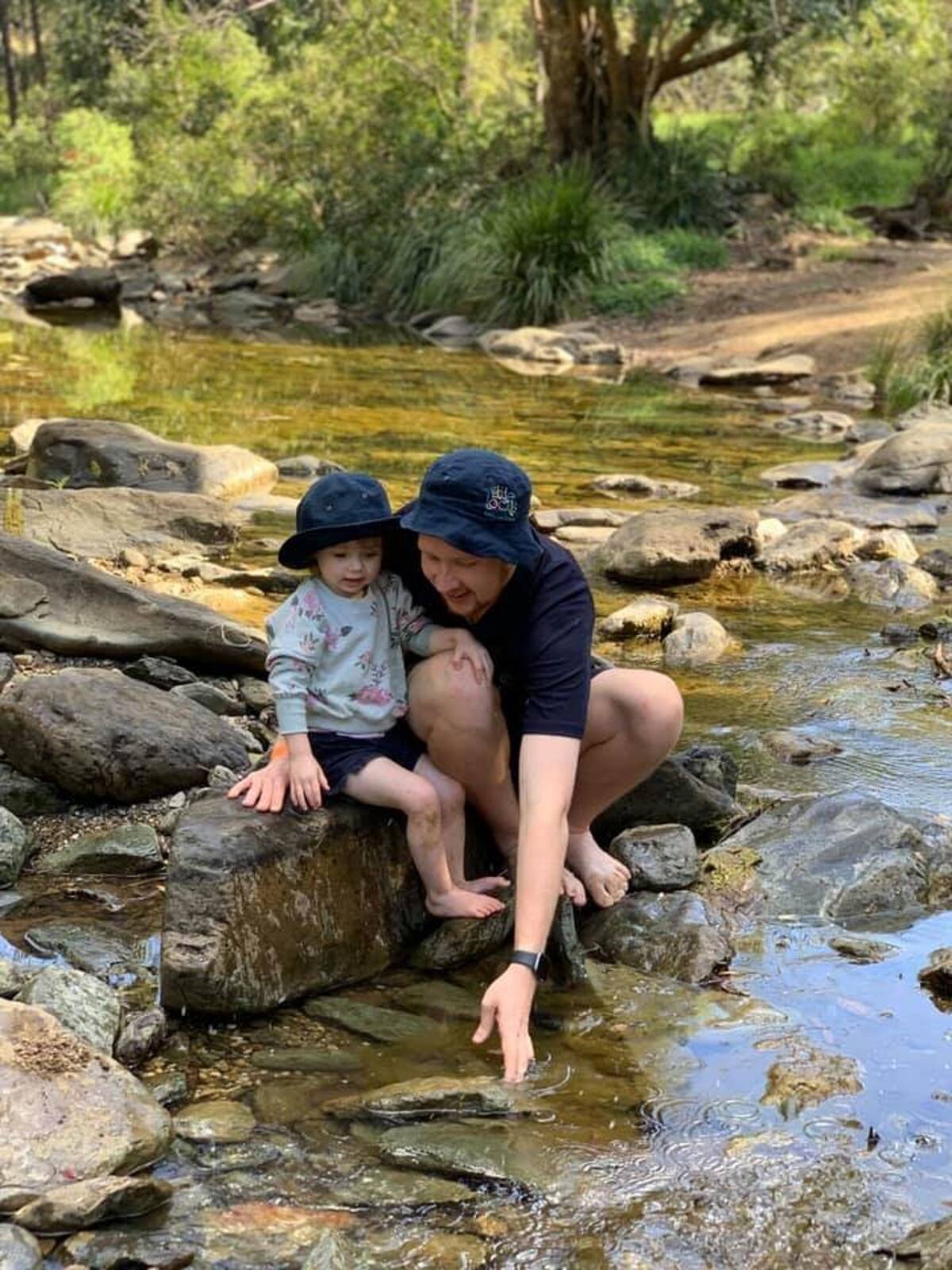 Curiosity Tree Morayfield