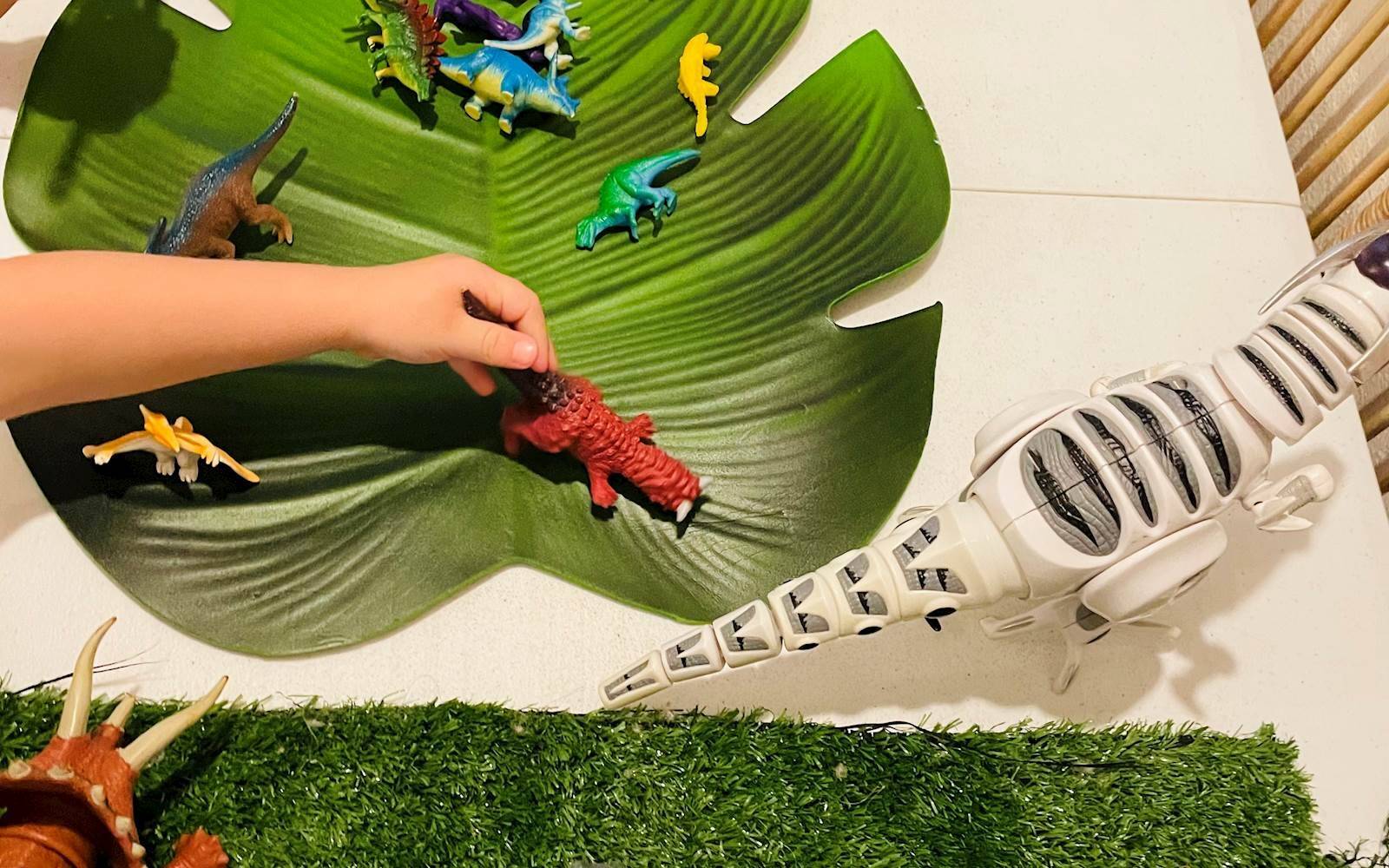 Bright Morning Family Day Care