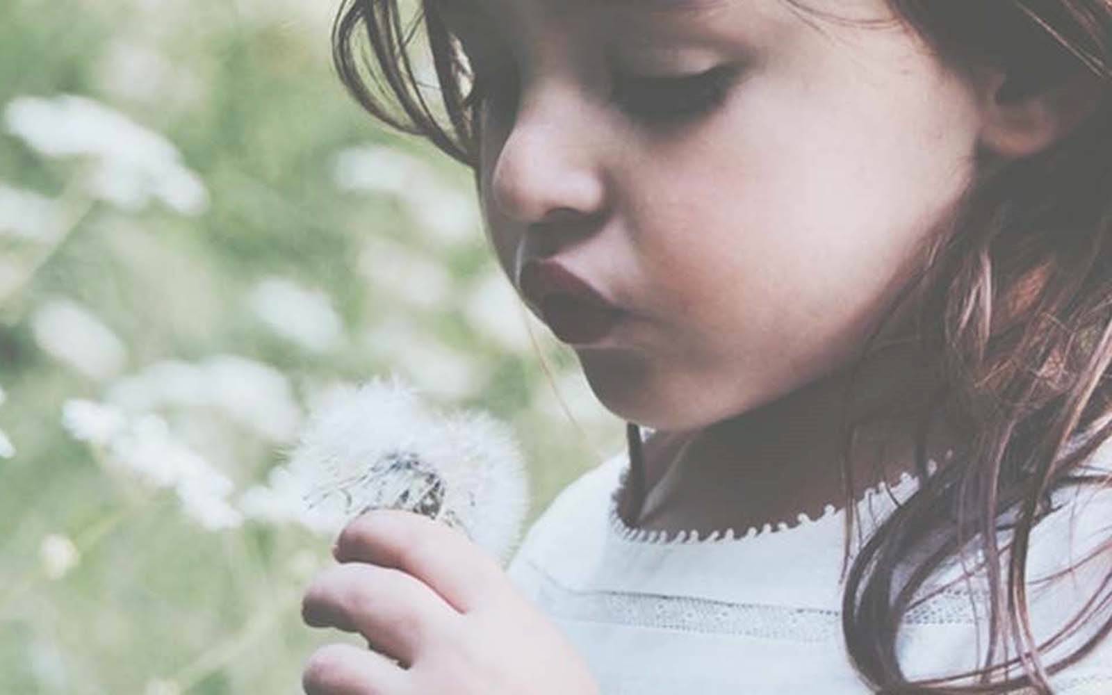 Enchanted Forest Early Learning - Murrumba Downs