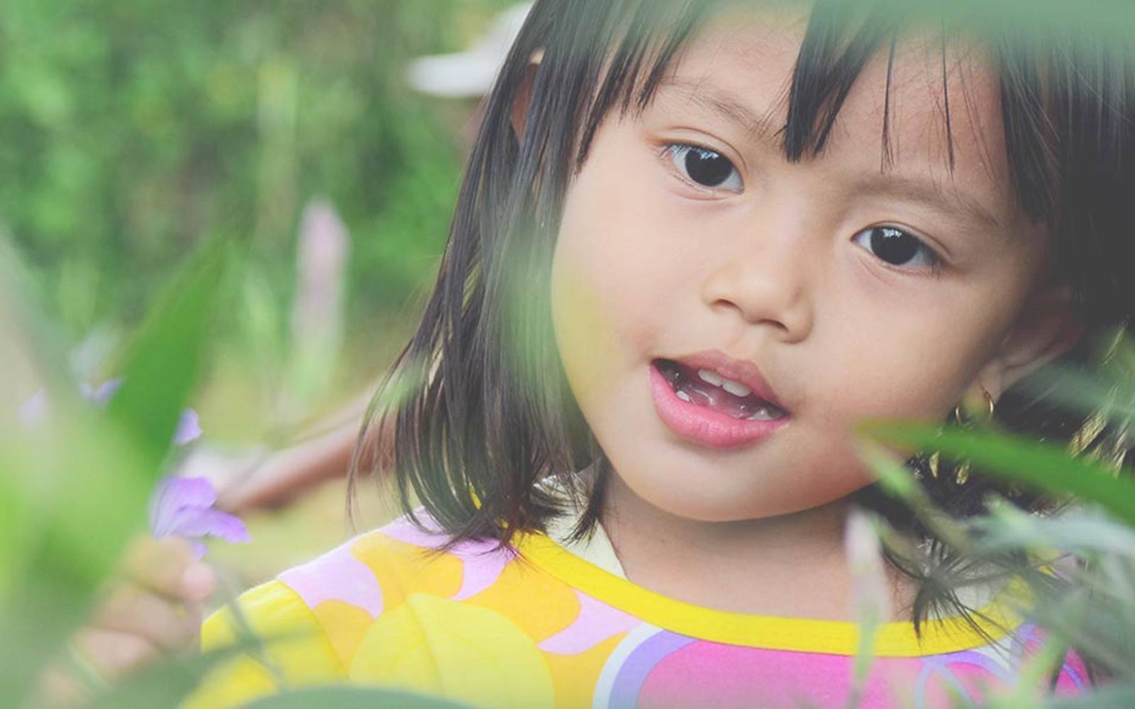 Enchanted Forest Early Learning - Murrumba Downs