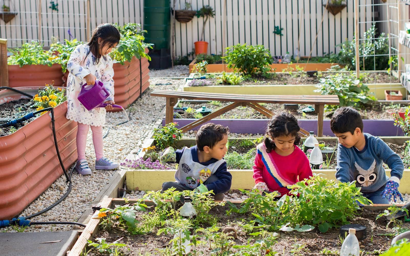 Amiga Montessori Craigieburn