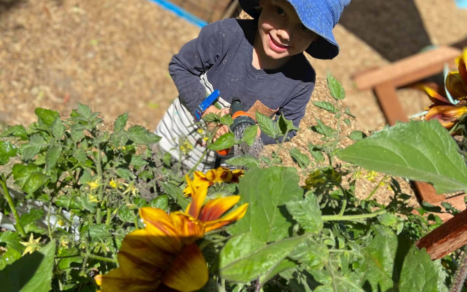 Hastings Childcare & Community Kinder