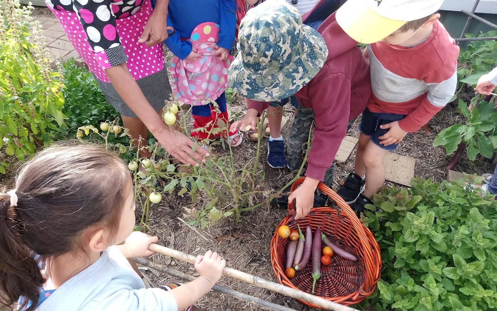 Pennant Hills Pre-School Kindergarten