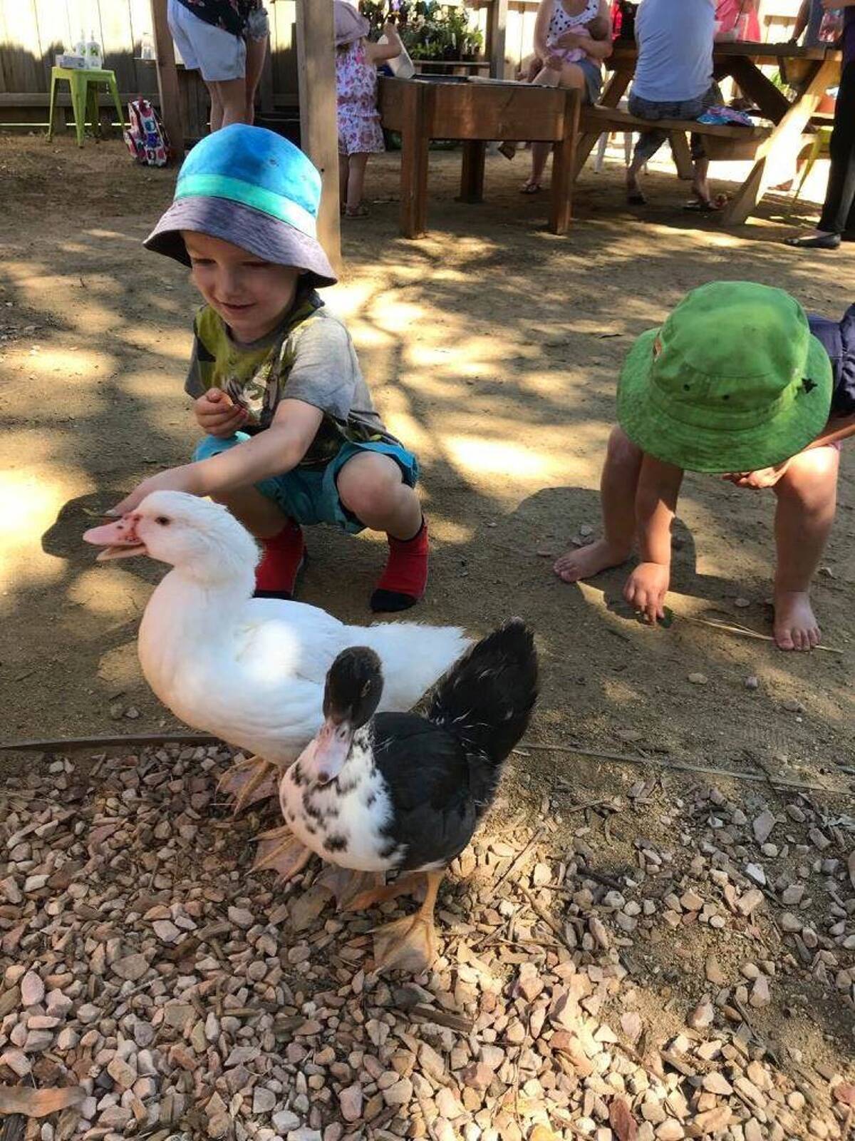 Kardinia Early Learning - Warrnambool