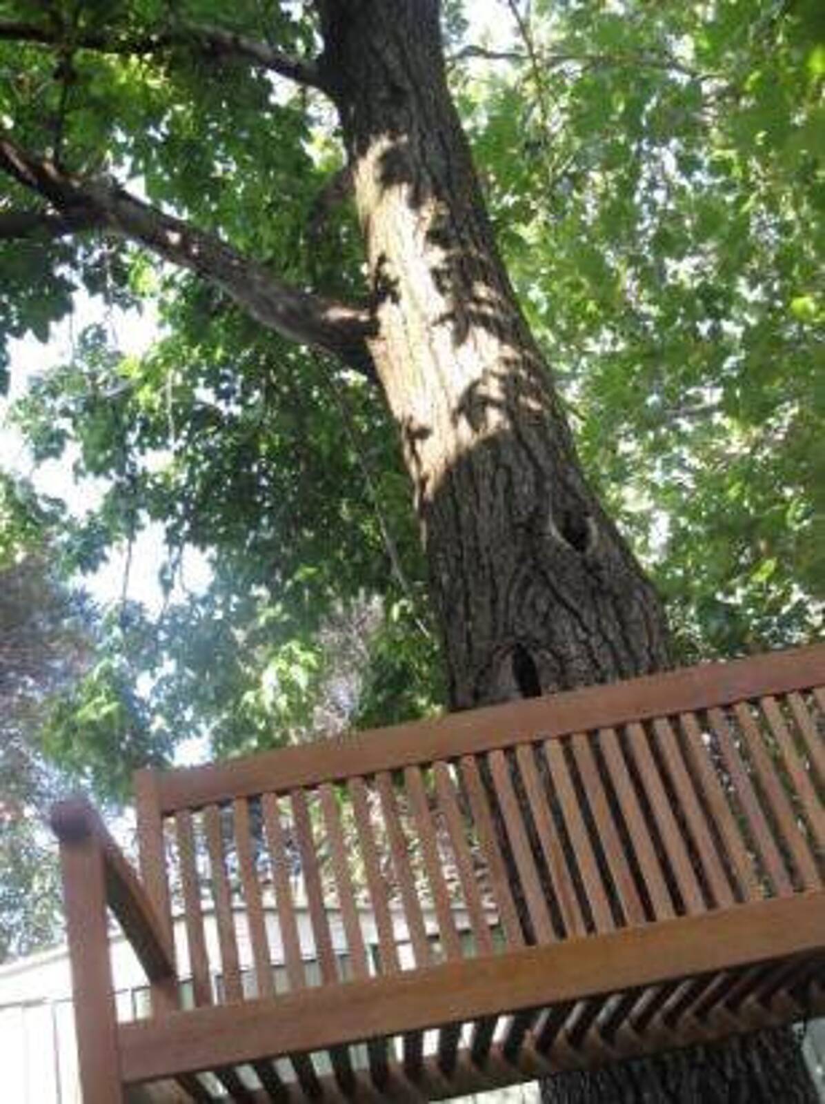 East Malvern Early Learning Centre