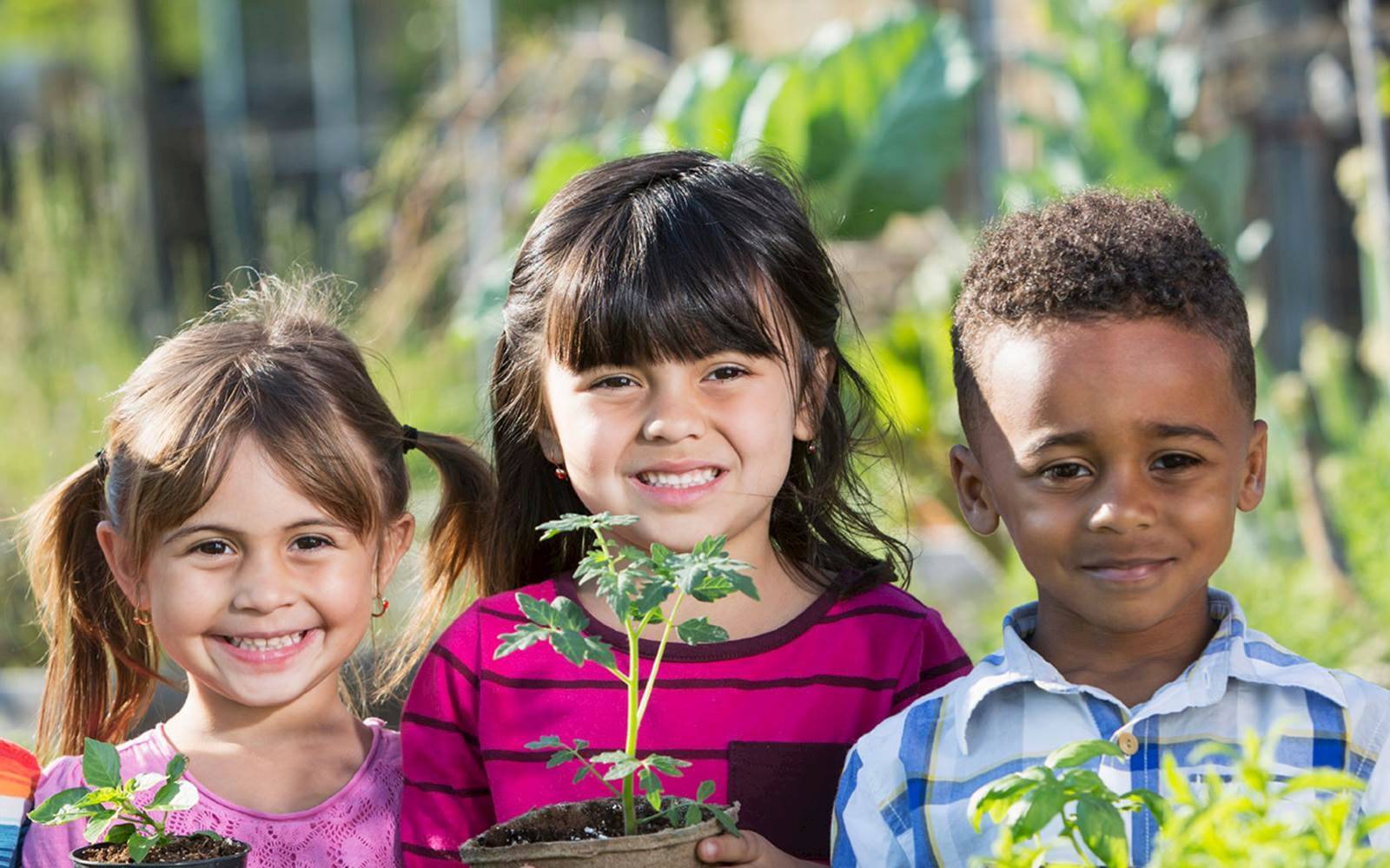 Mitchell Street Child Care Centre