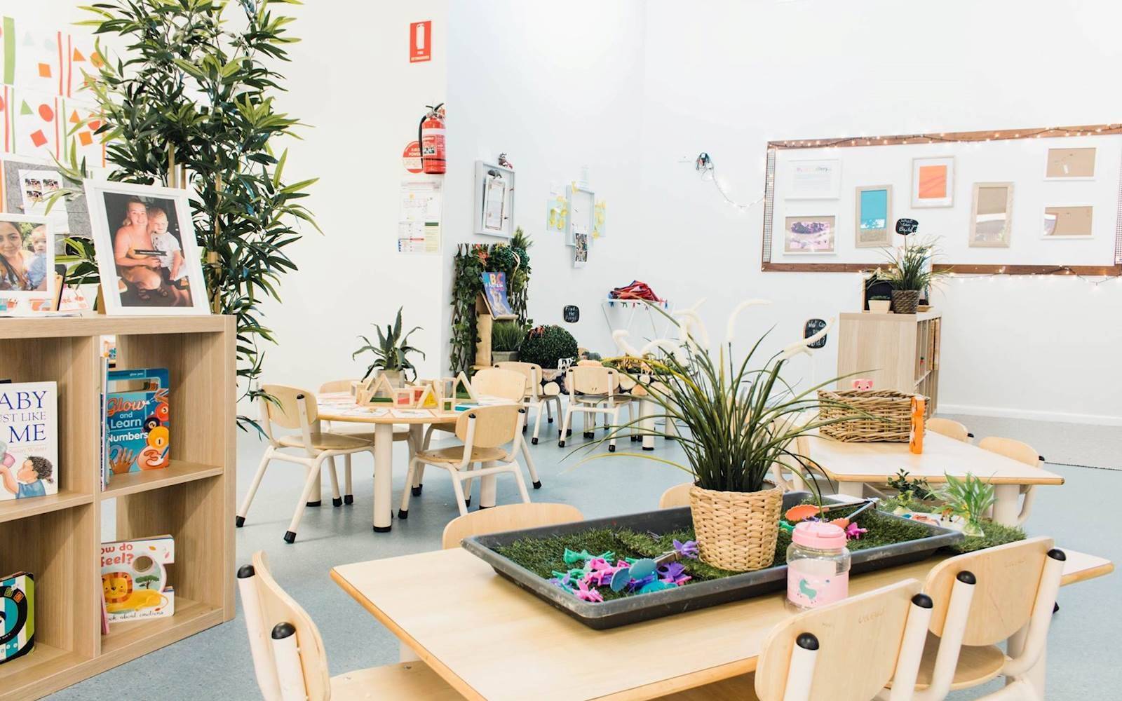 Hatchlings ELC Waterford West