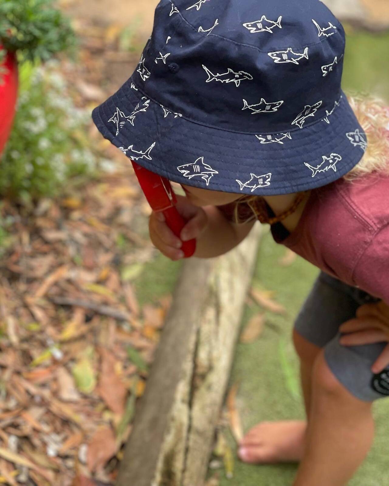 Edelweiss Child Care Centre