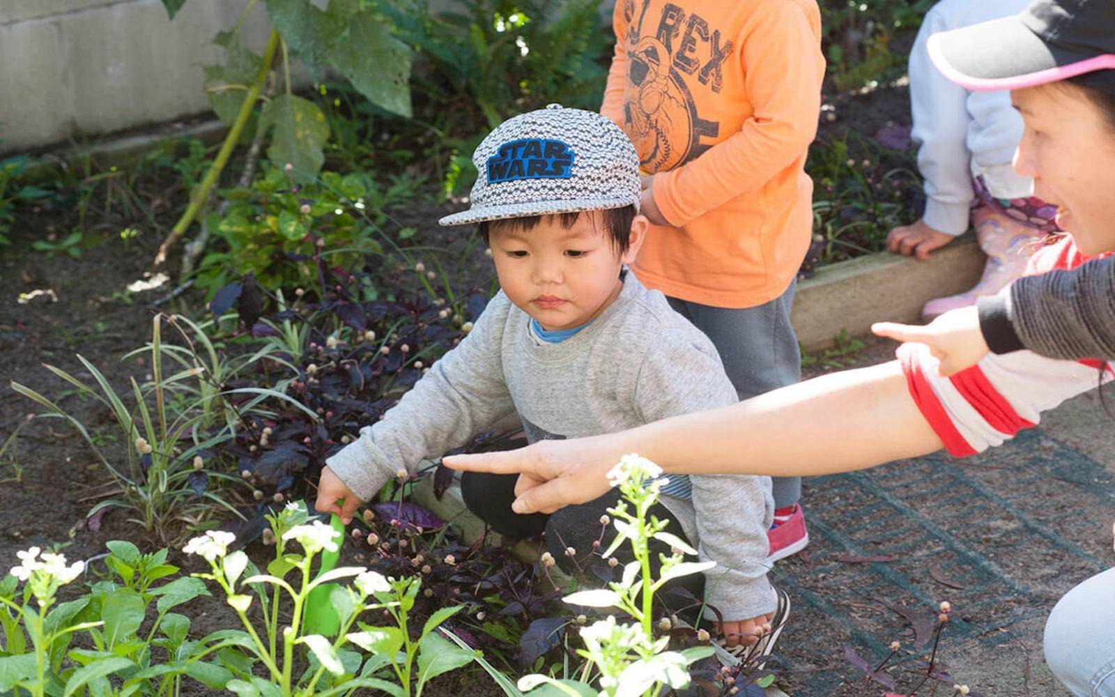 Piptree Early Learning Sunnybank Hills