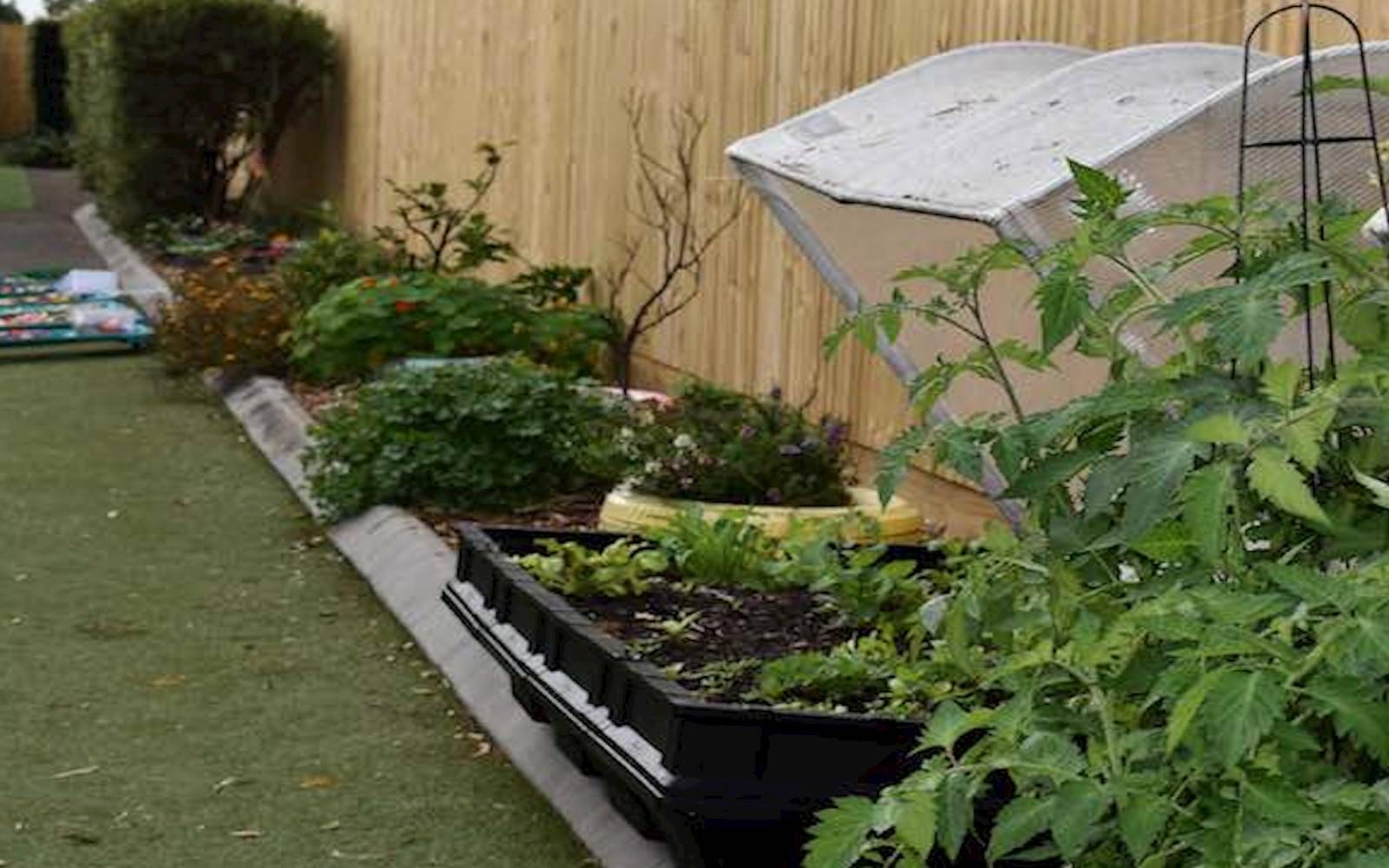 Sunny Hills Child Care and Education Centre