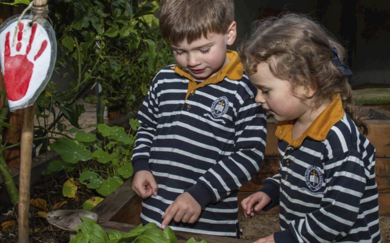 Pulteney Grammar School Early Learning Centre