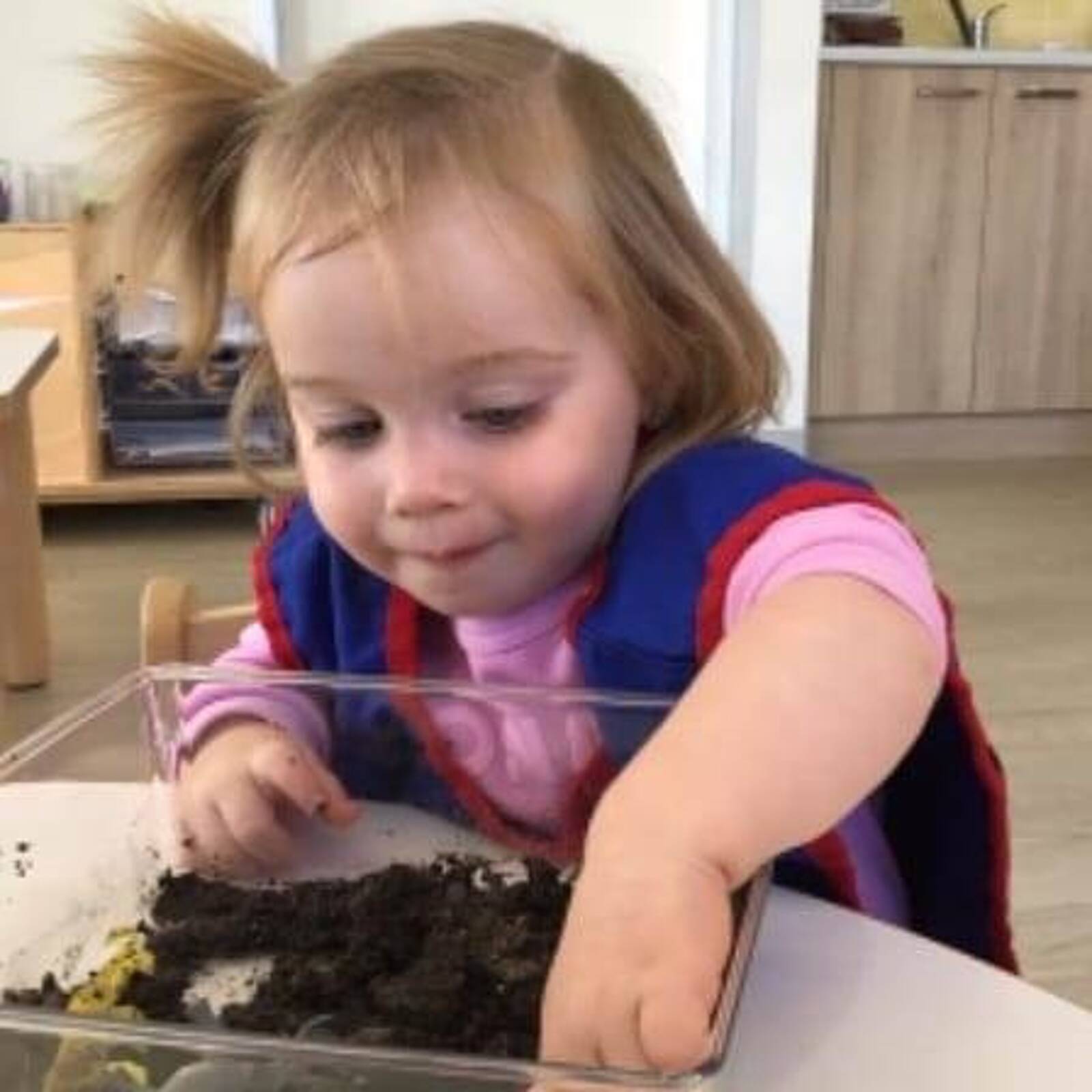 Clyde Nth One Early Education