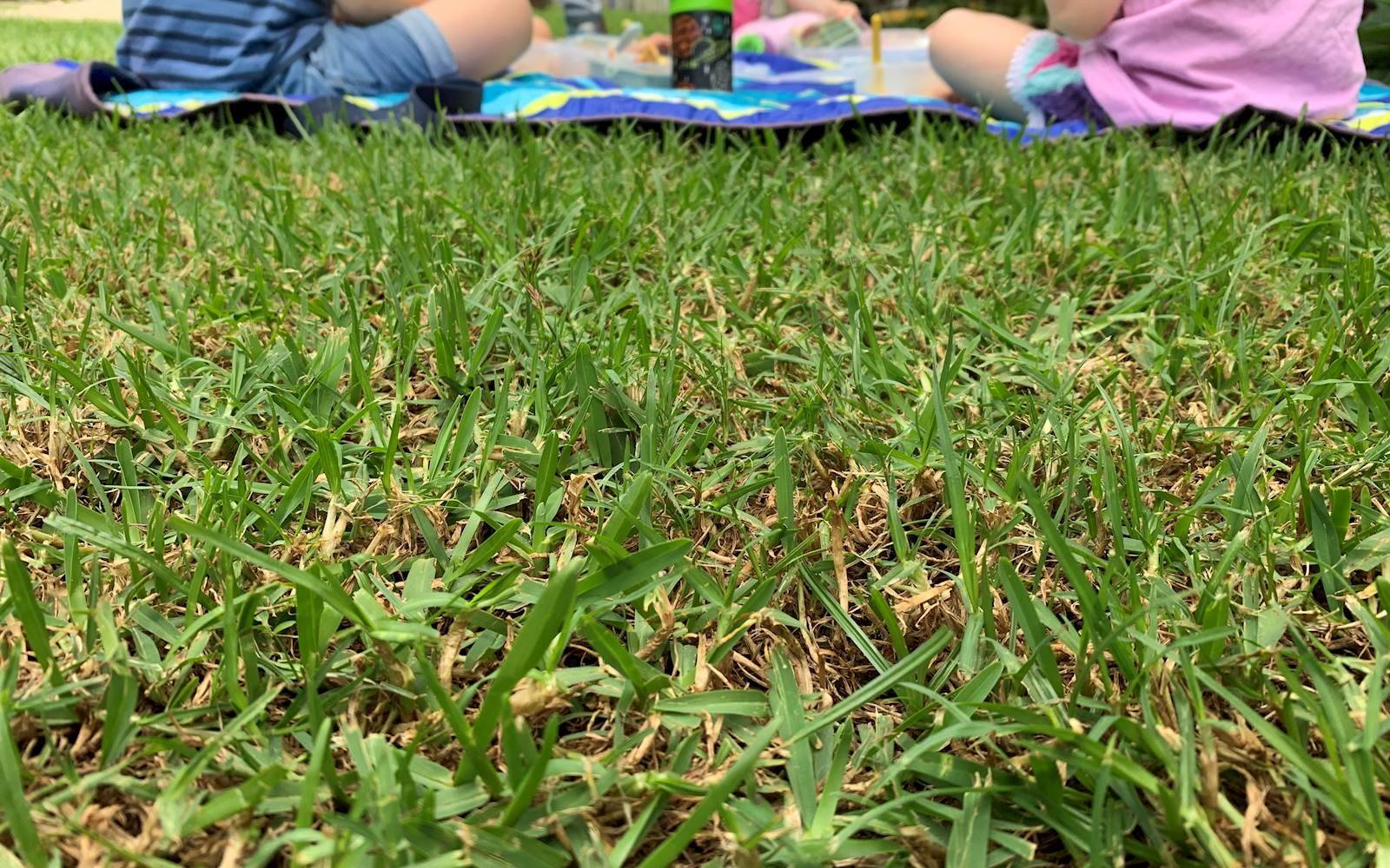 The Patch Family Day Care