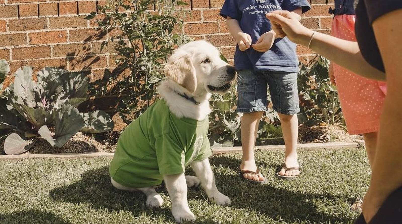 Junior Einsteins Nurturing Centre - Blackbutt