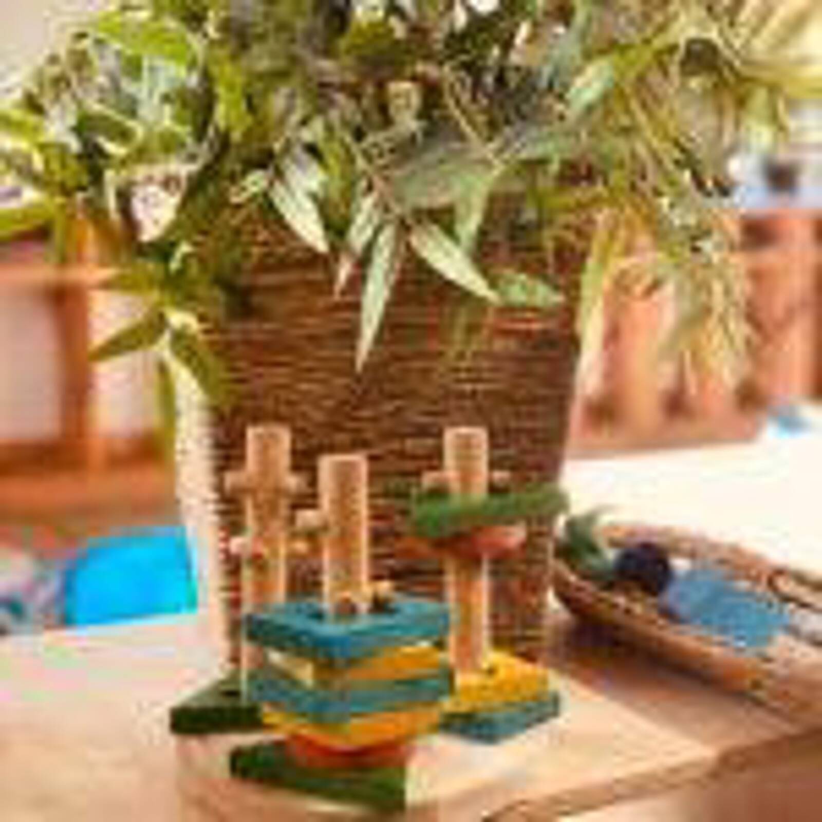 Taree & District Preschool