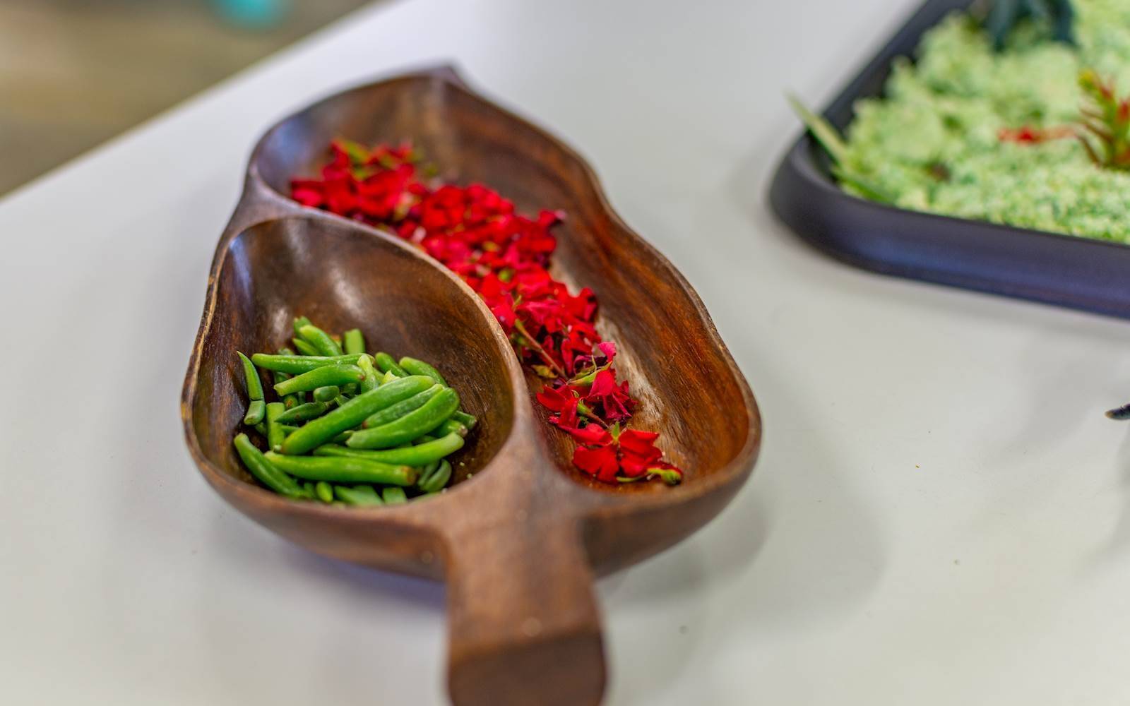 College Community Child Care Centre