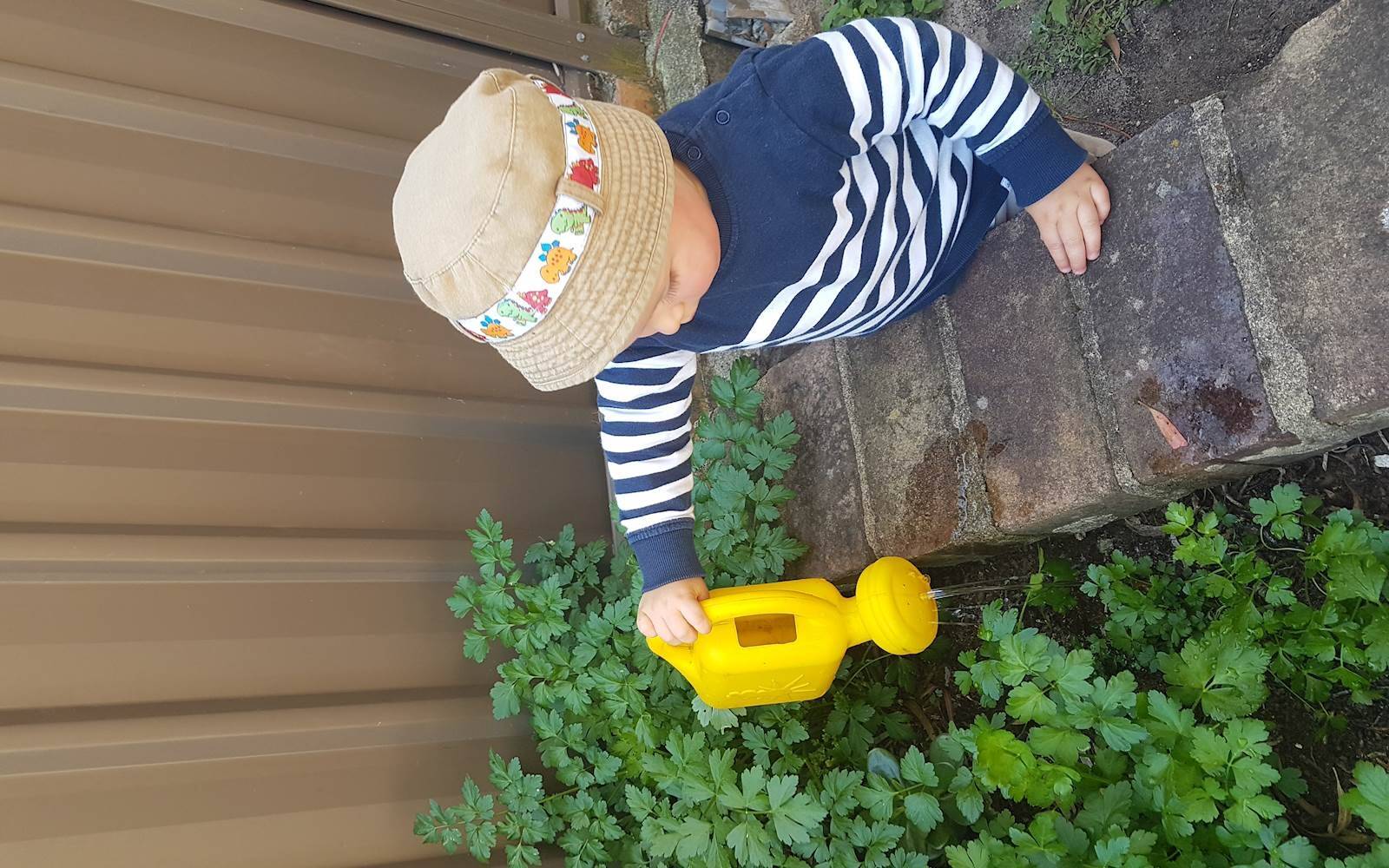 Olga's Family Day Care