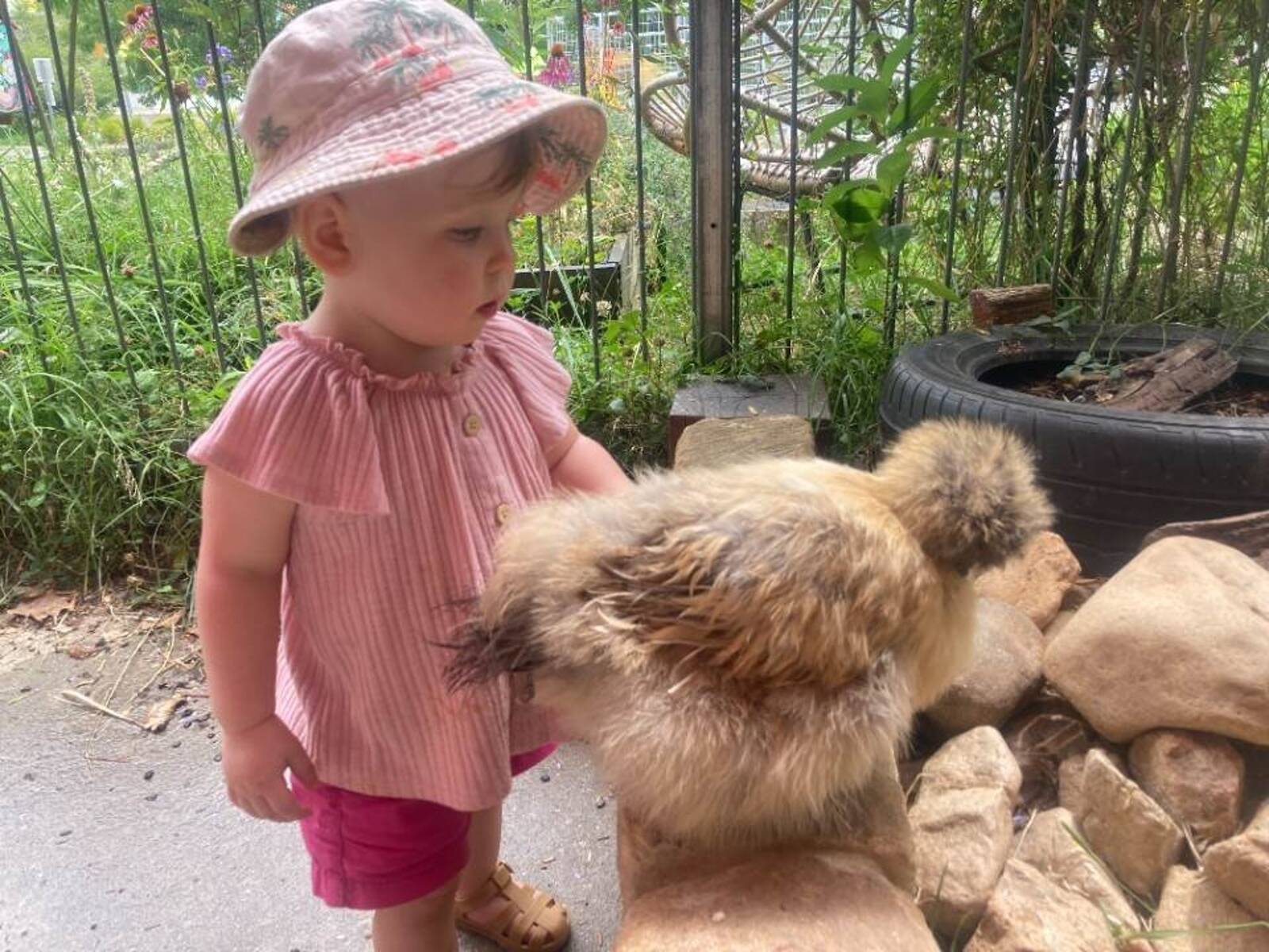 Woden Valley Early Learning Centre