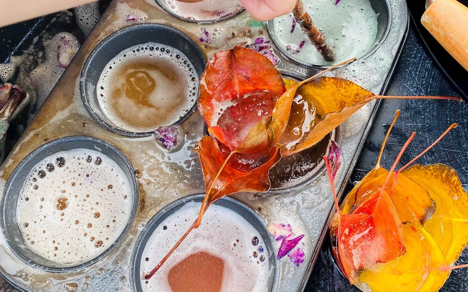 Mannu’s Family Day Care, Regd with Nature Alliance Family Day Care Service