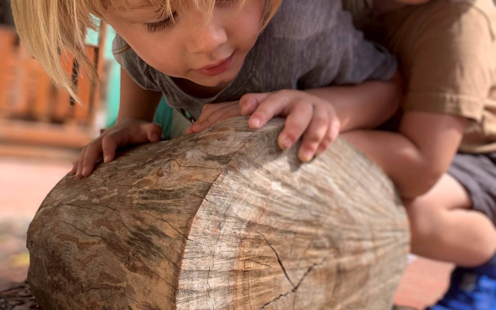 Peter Pan Kindergarten