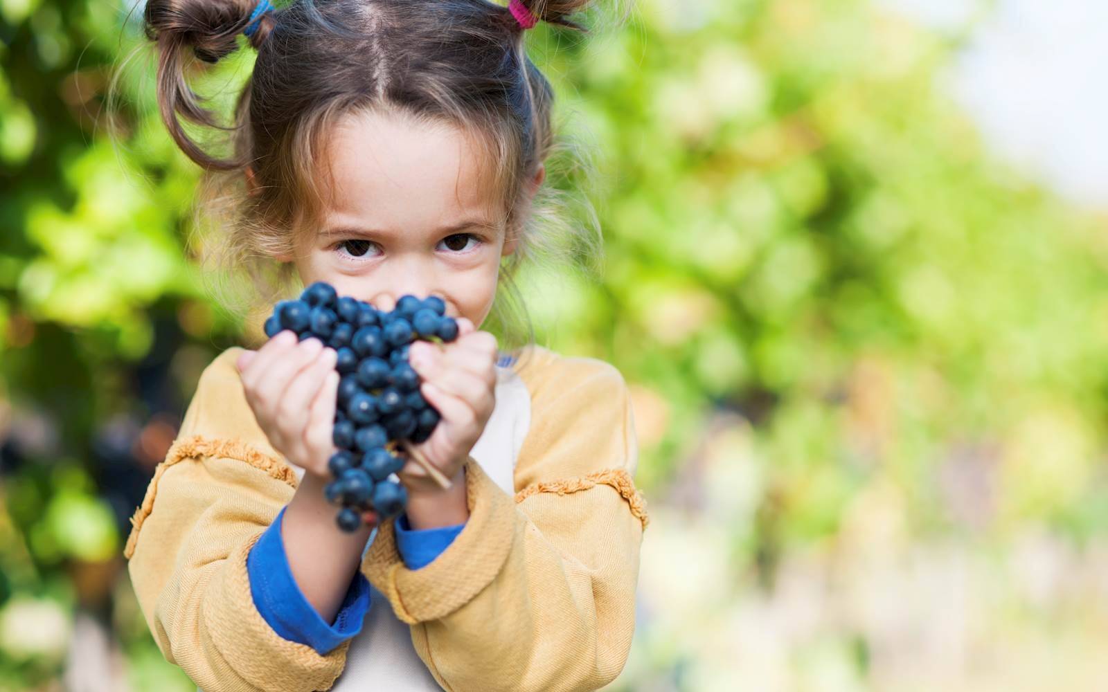 Swan Valley Early Learning