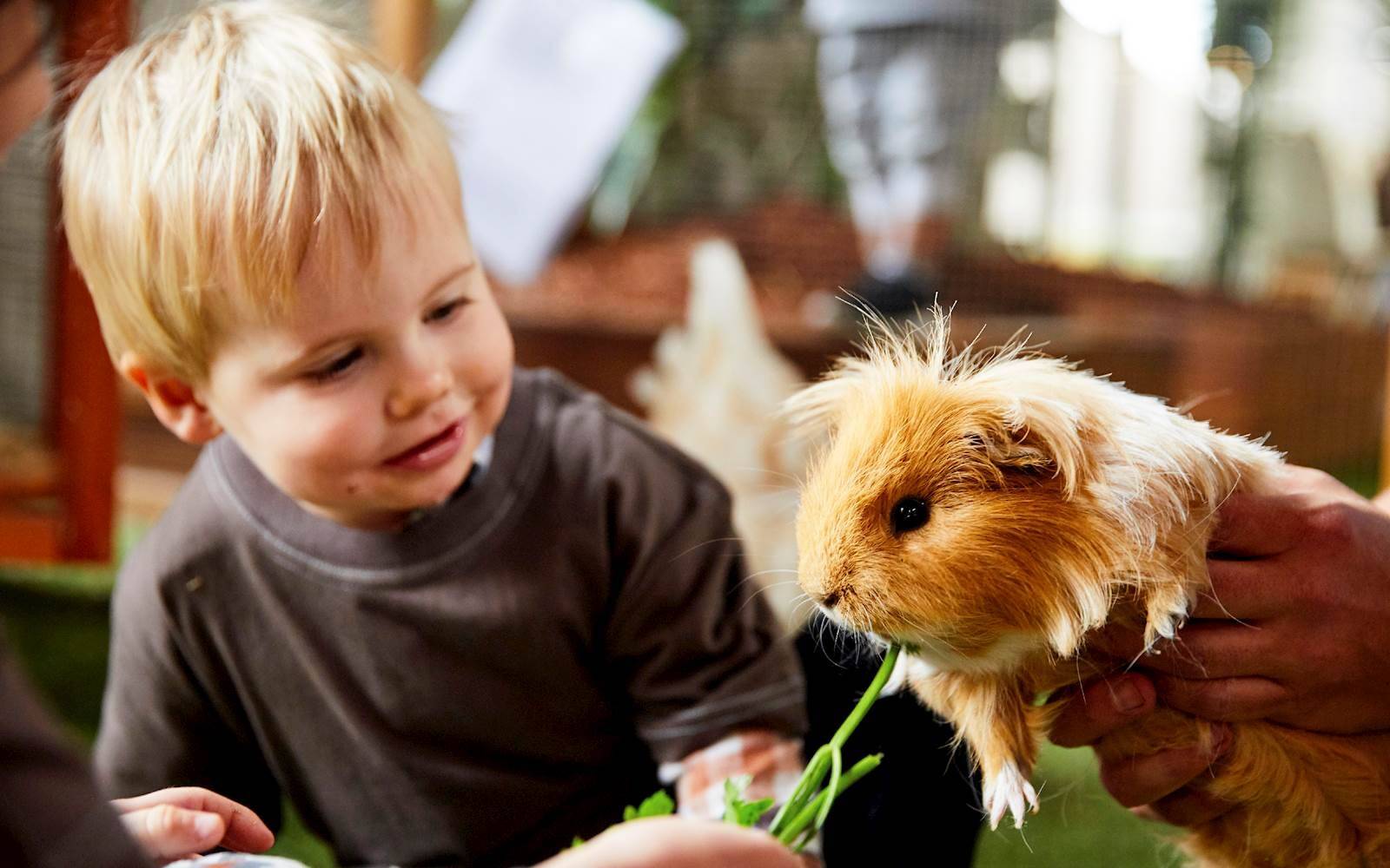 Paisley Park Early Learning Centre - Malvern East
