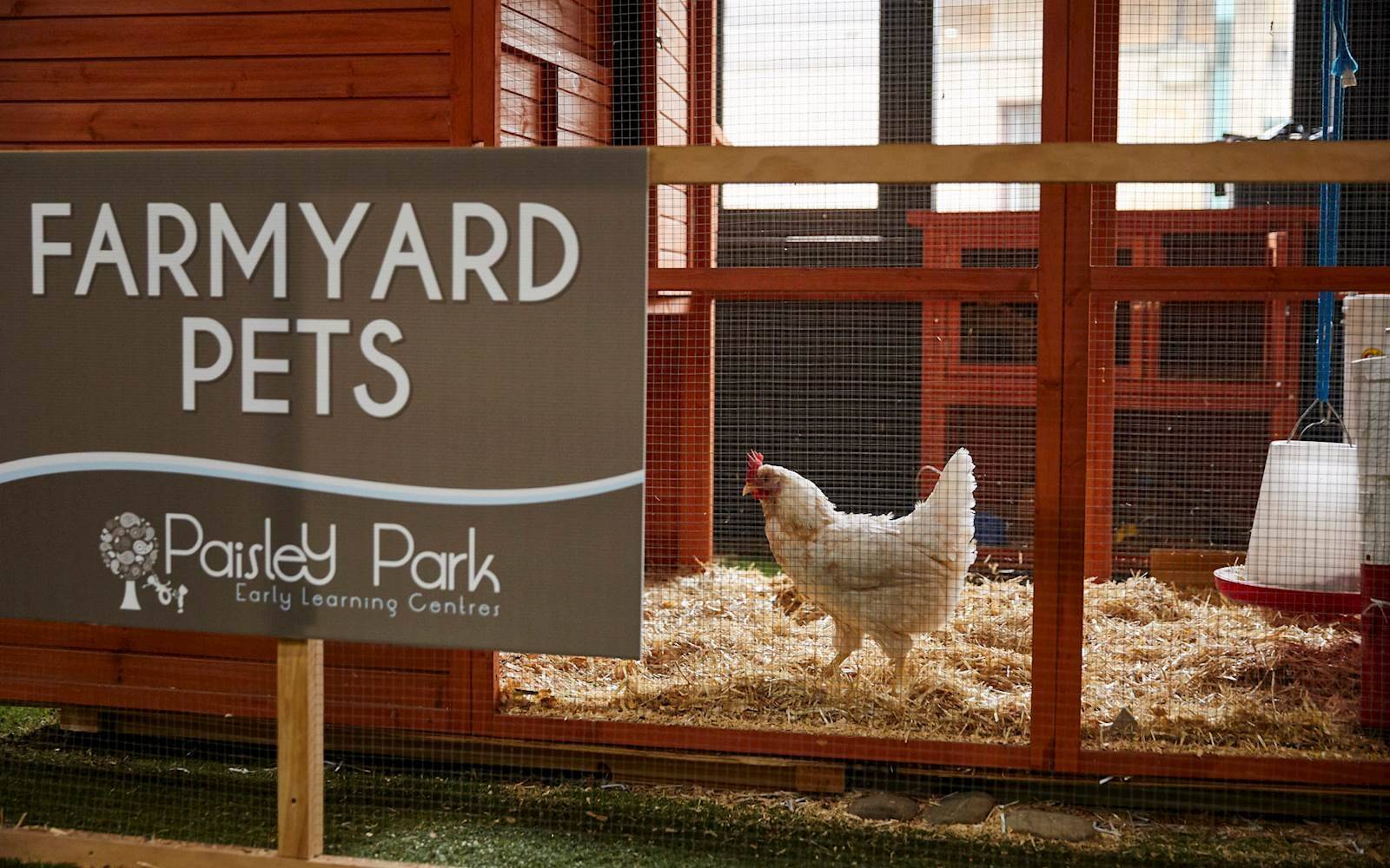 Paisley Park Early Learning Centre - Randwick