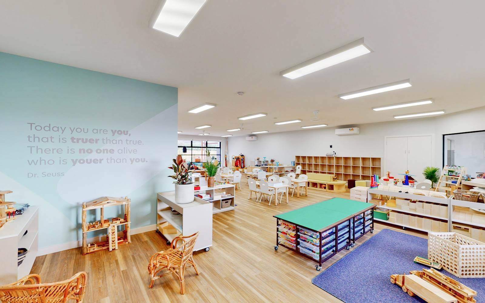 Busy Bees at Diggers Rest