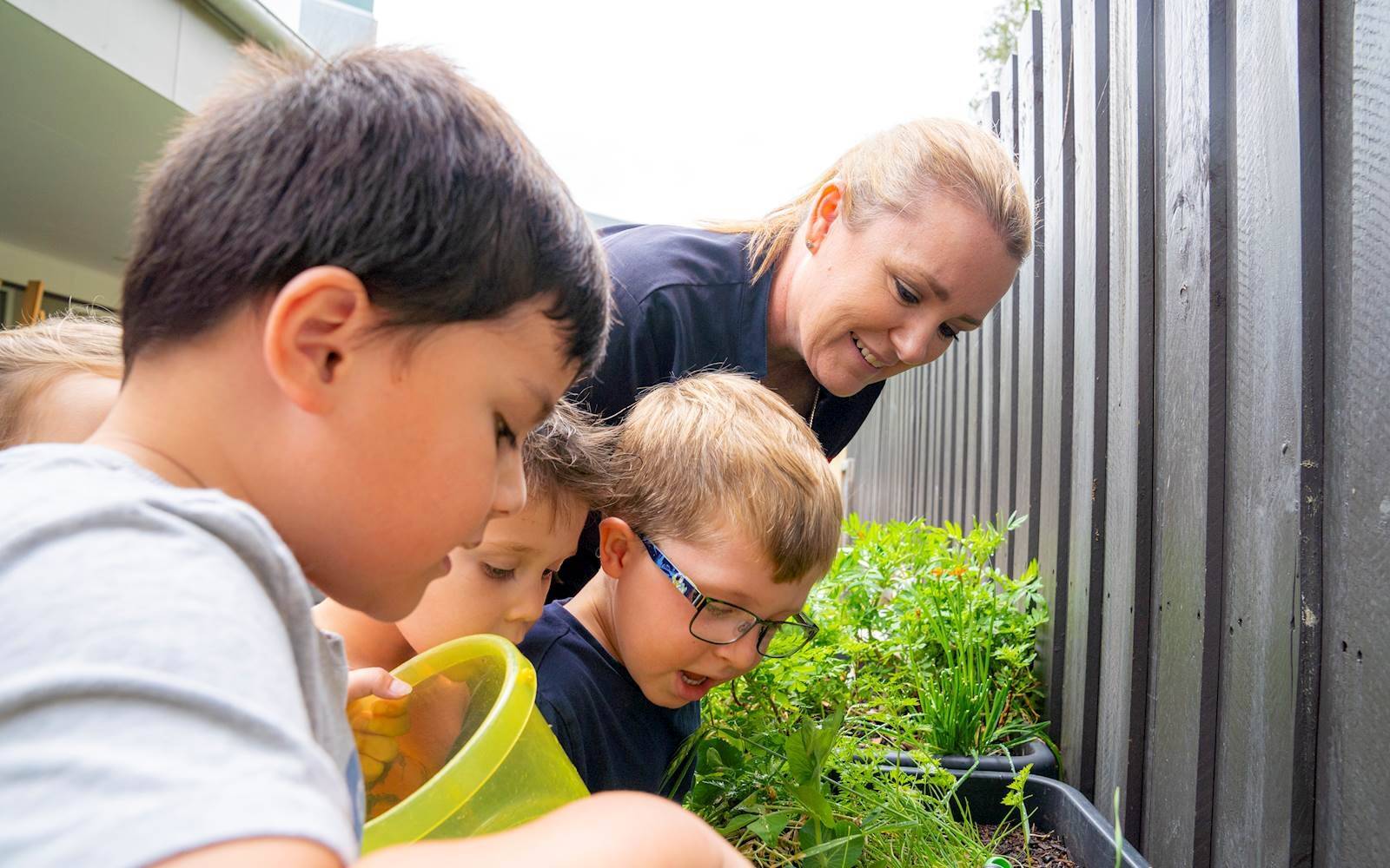 Busy Bees at Springfield Lakes