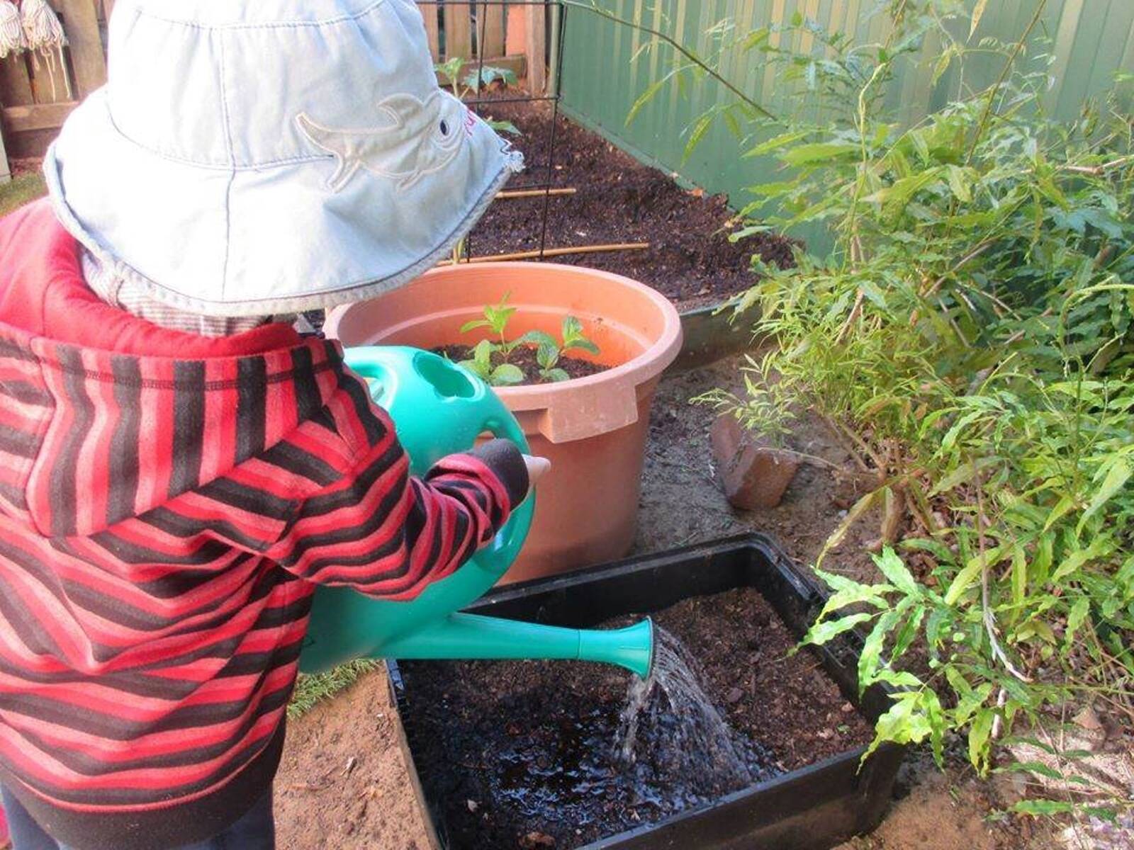 Stringybark Day Care Centre