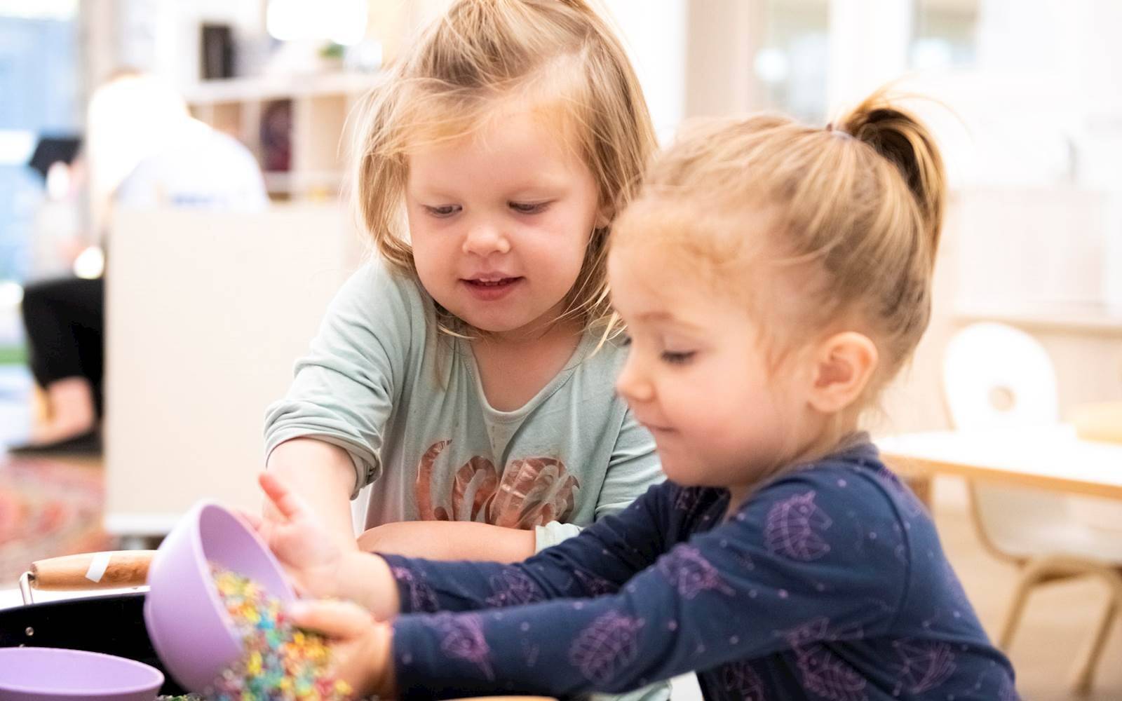 Busy Bees at Bellmere