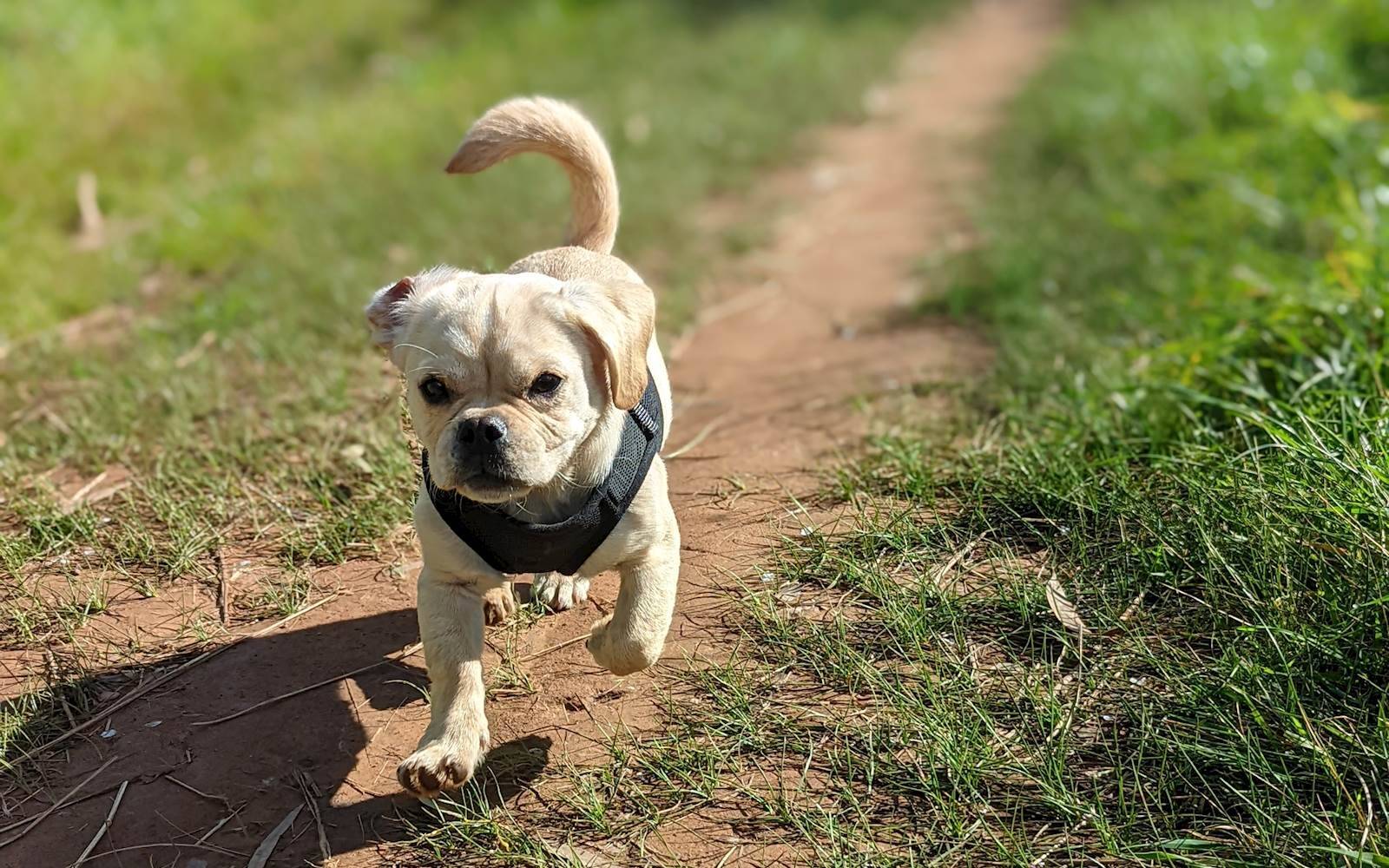 All Aboard Family Day Care