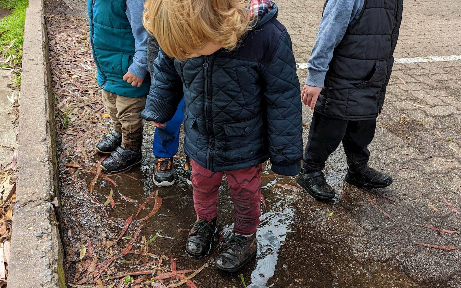 All Aboard Family Day Care